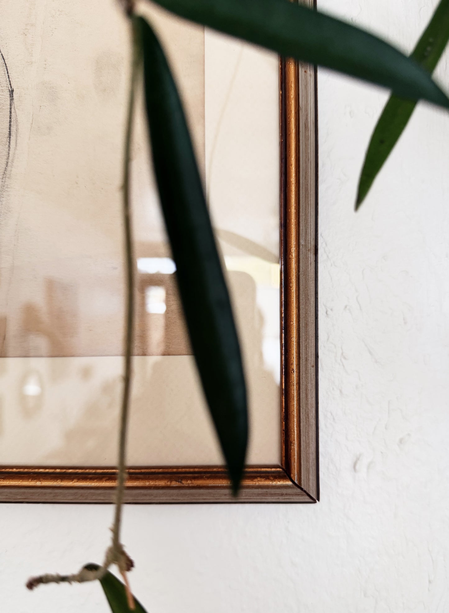 1930s Max Allara Drawing