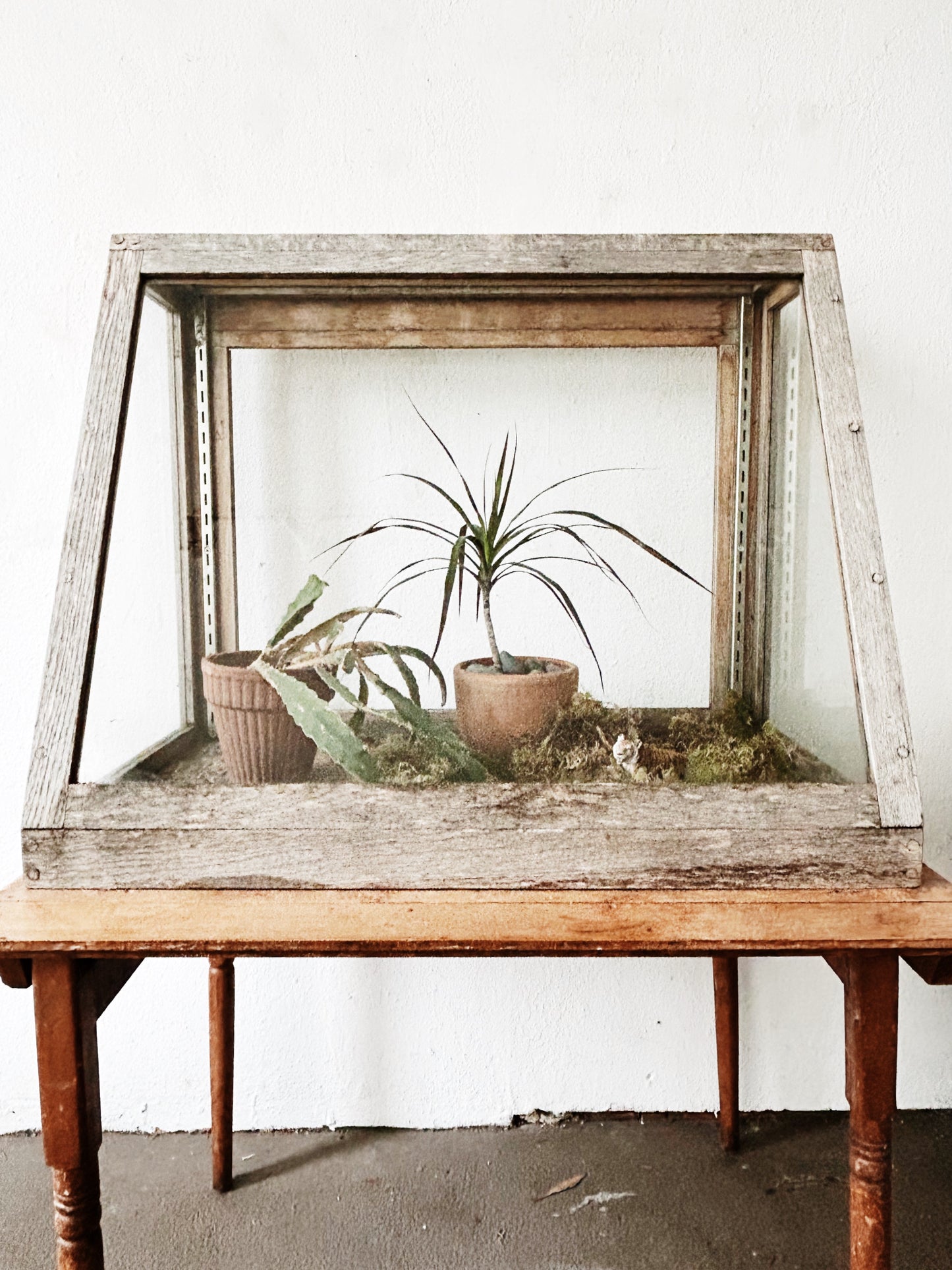 Antique Display Case