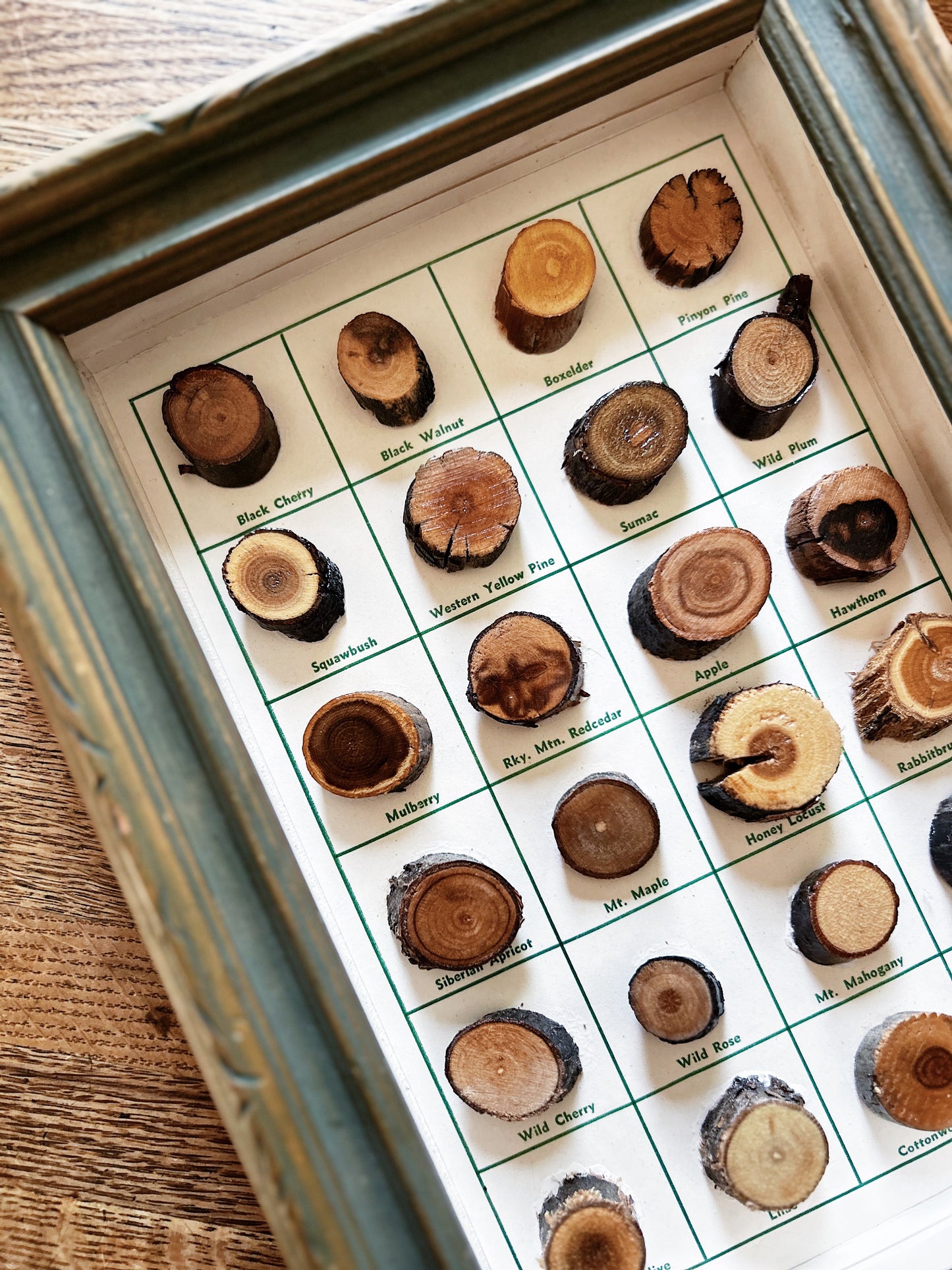 Vintage Wood Sampler
