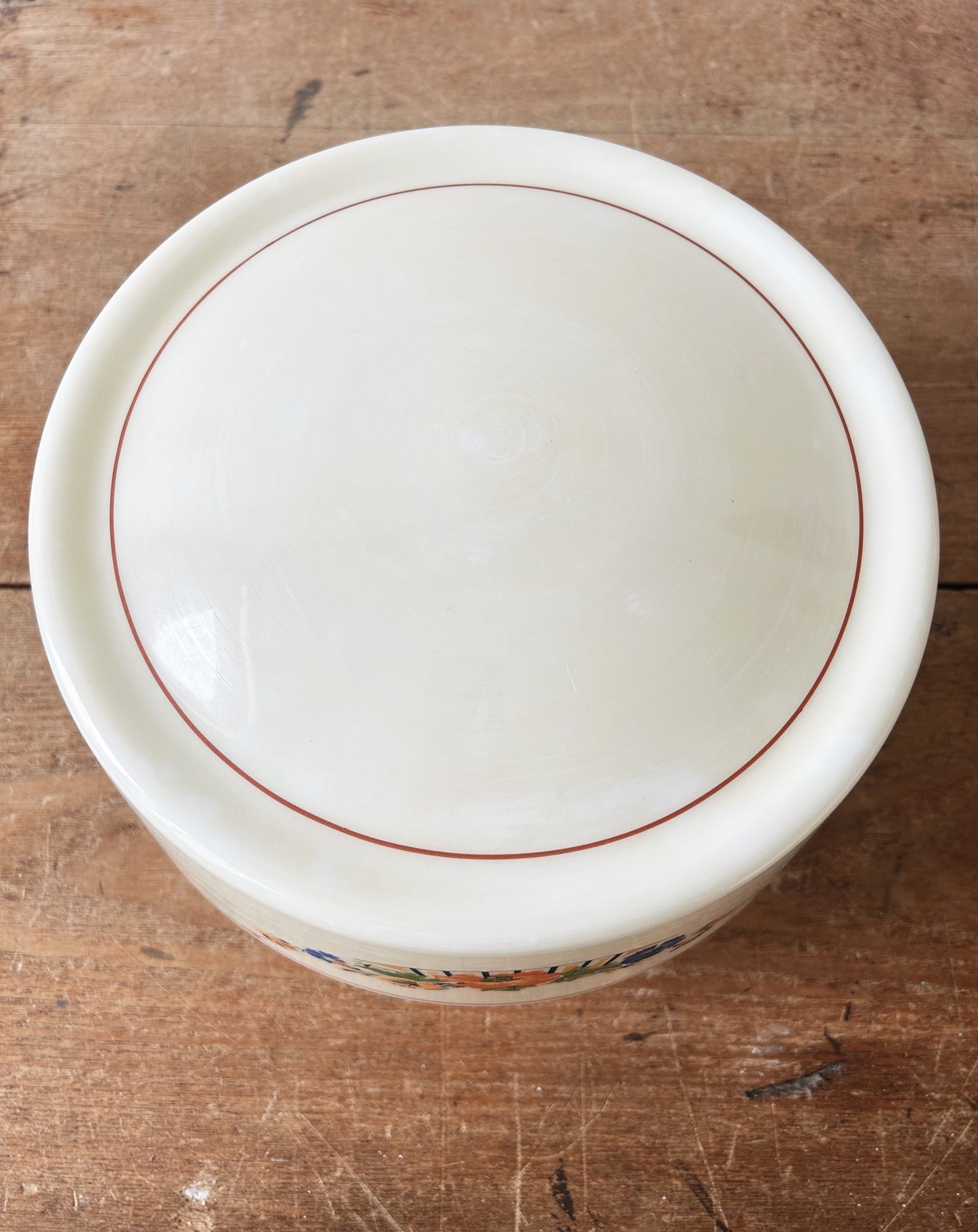 Vintage Hand Painted Glass Shade