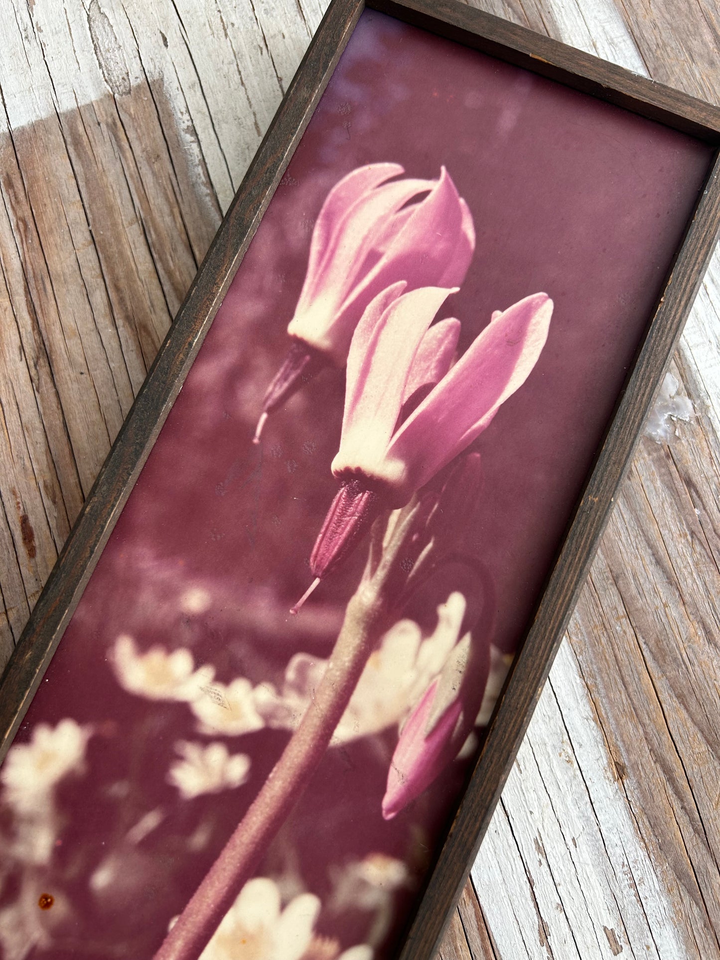 Vintage Box Framed Film Photograph