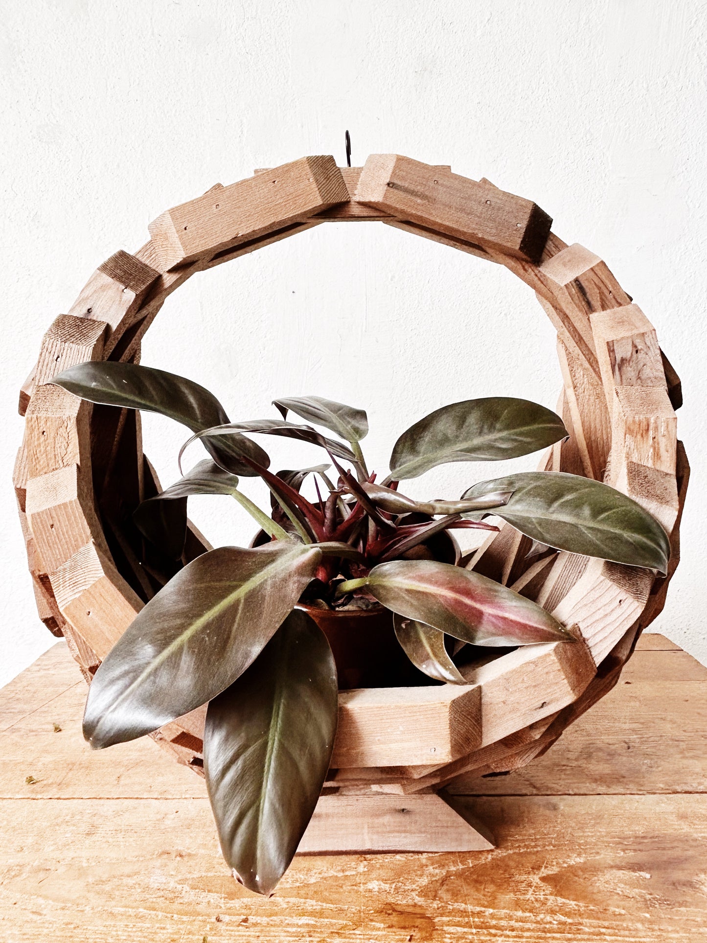 Extra Large Half Moon Tramp Art Planter with Hanging Chain