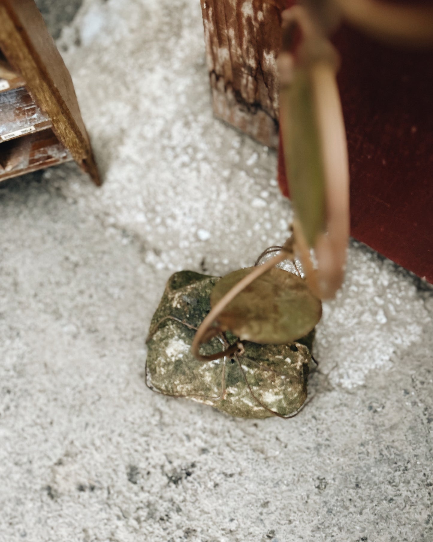 Vintage Copper Rain Chain