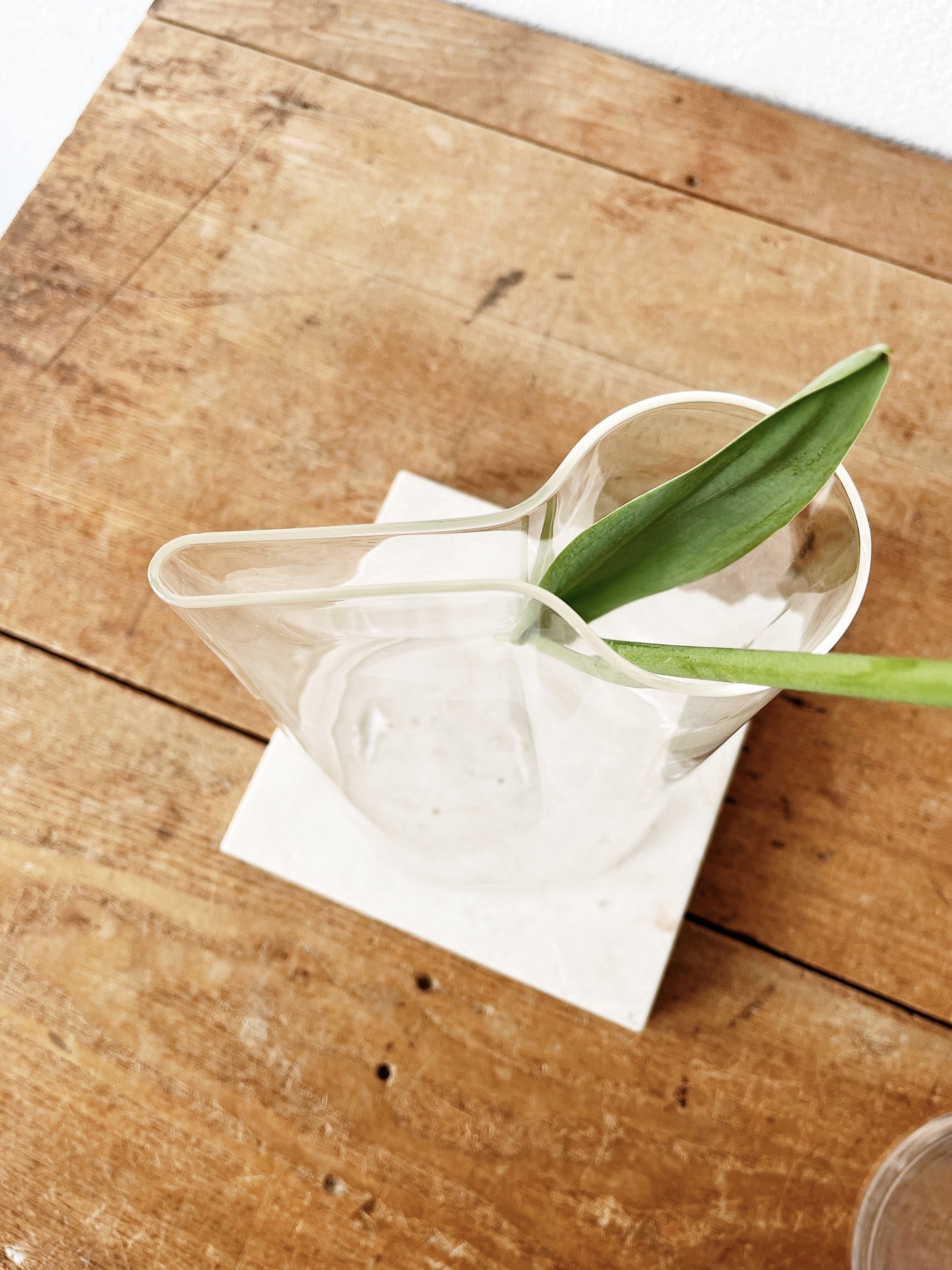 Blown Glass Water Vessels