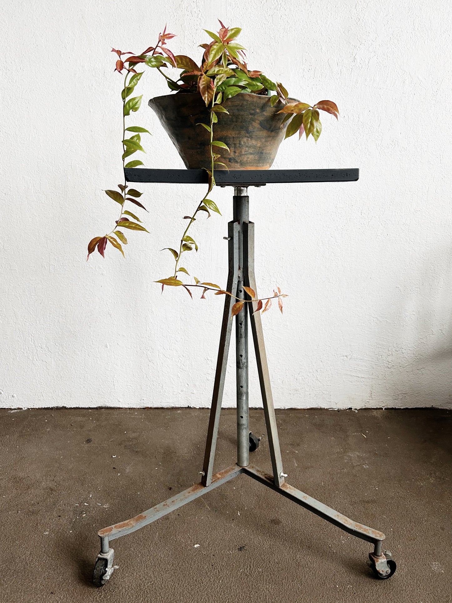 Industrial Plant/Sculpture Stand