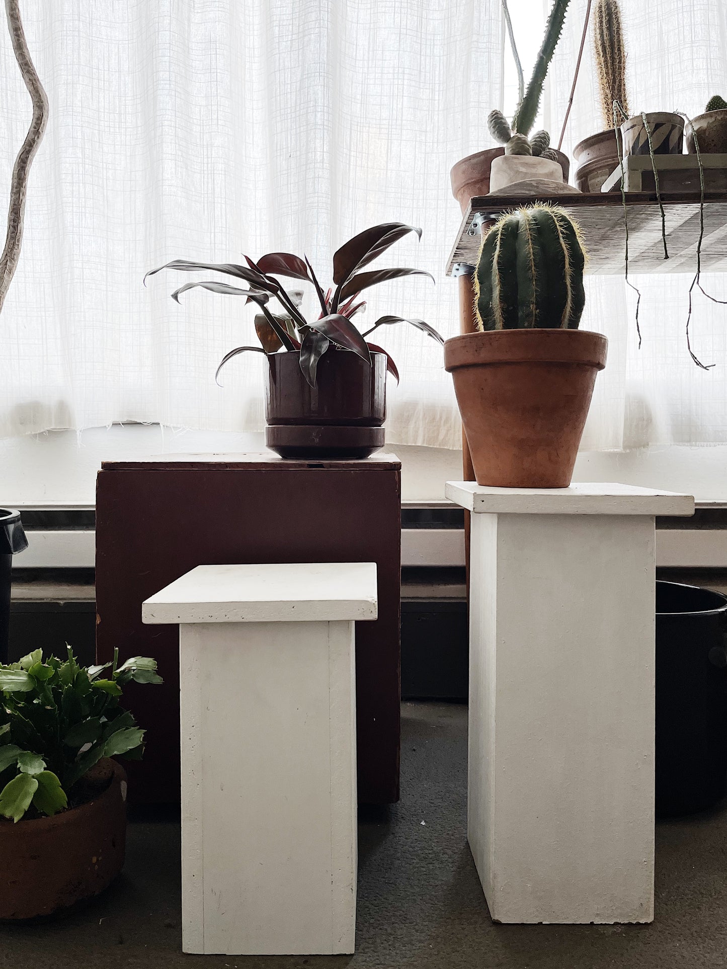 Sturdy Wood Display Stand