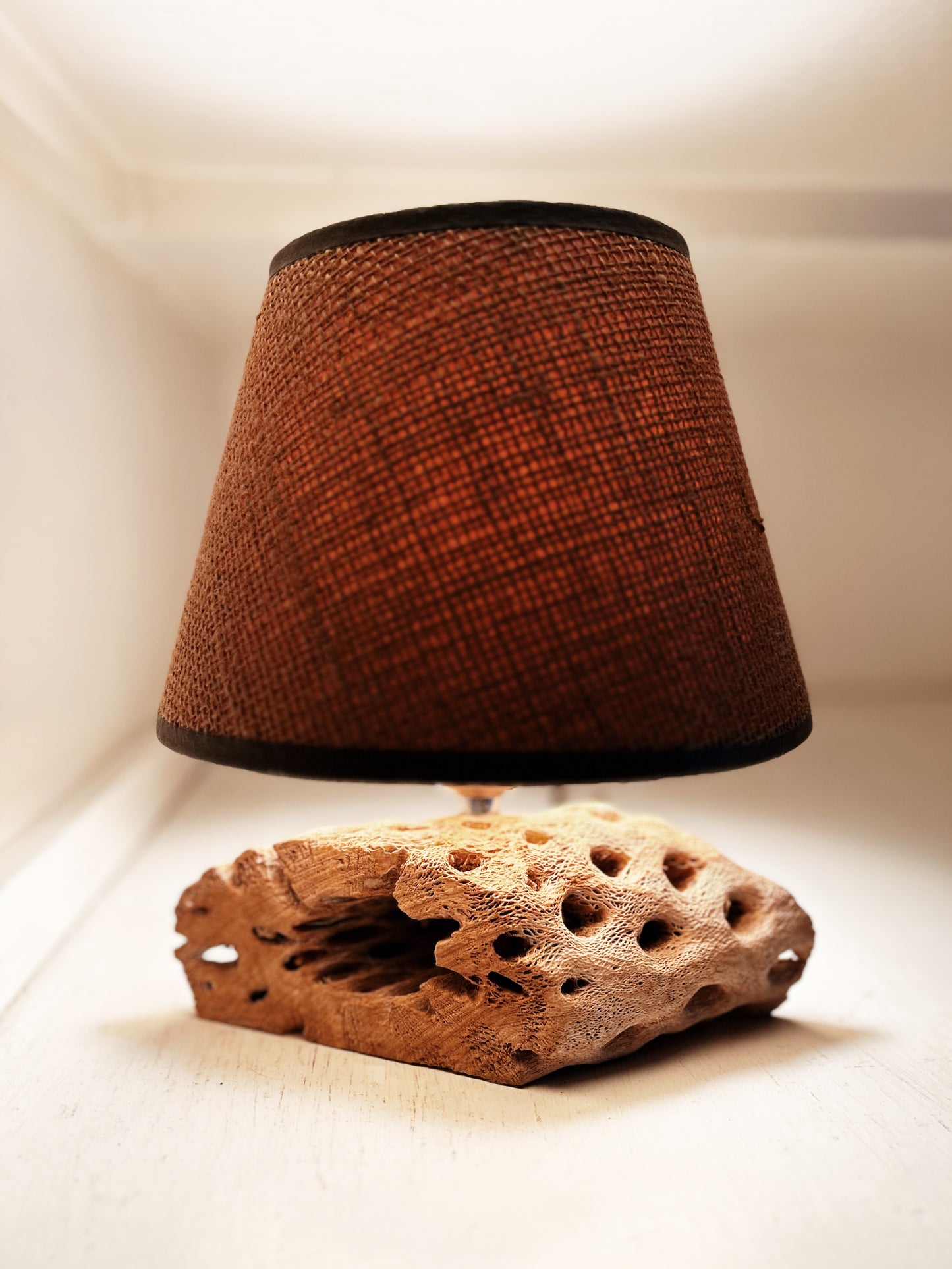 Cholla Lamp