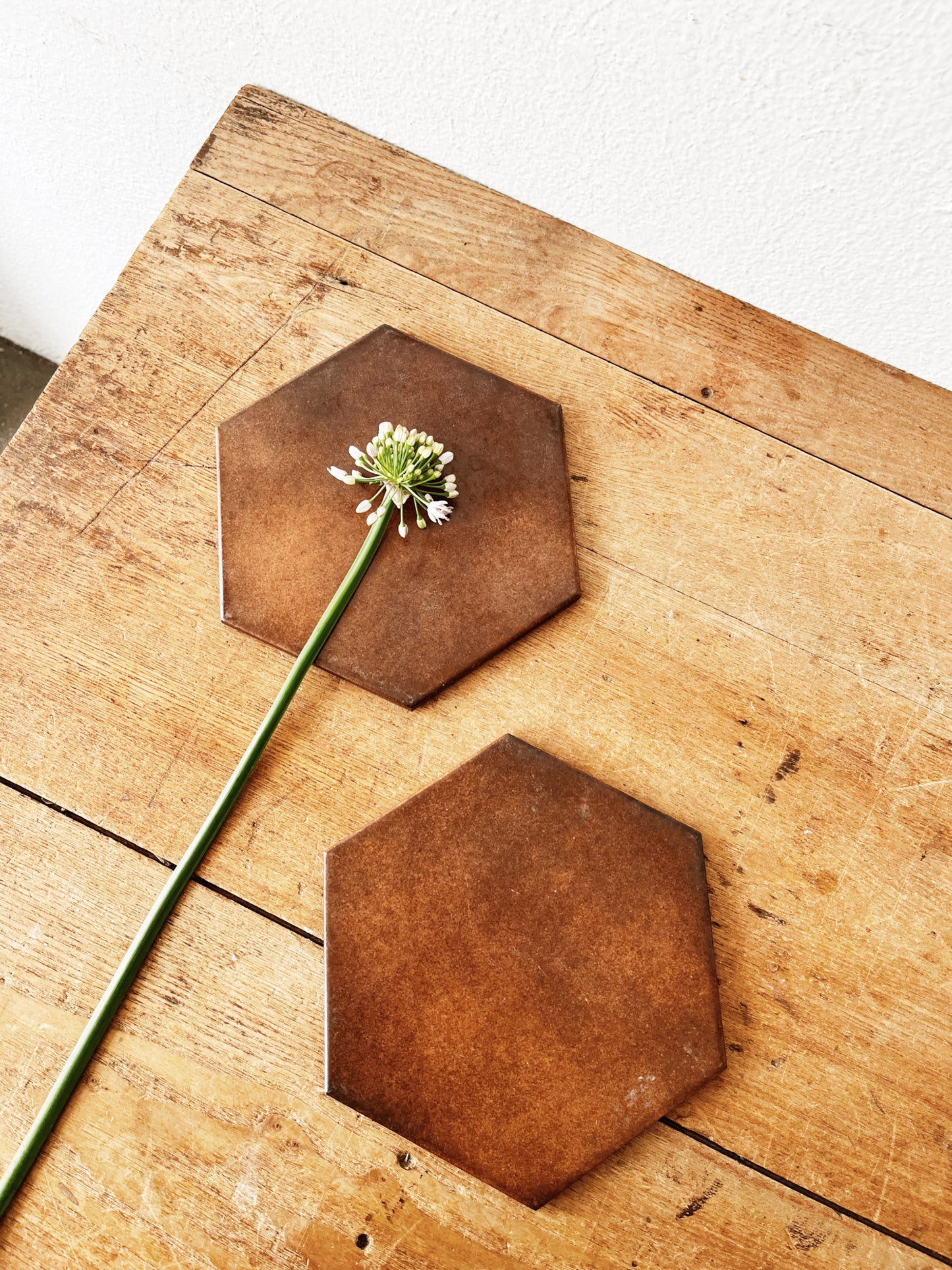 Pair Italian Hex Tile Trivets