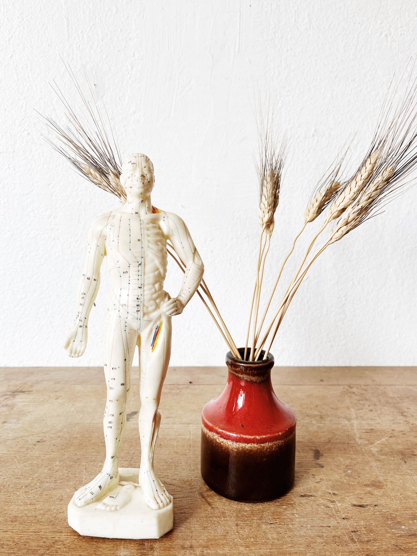 Vintage Reflexology Model