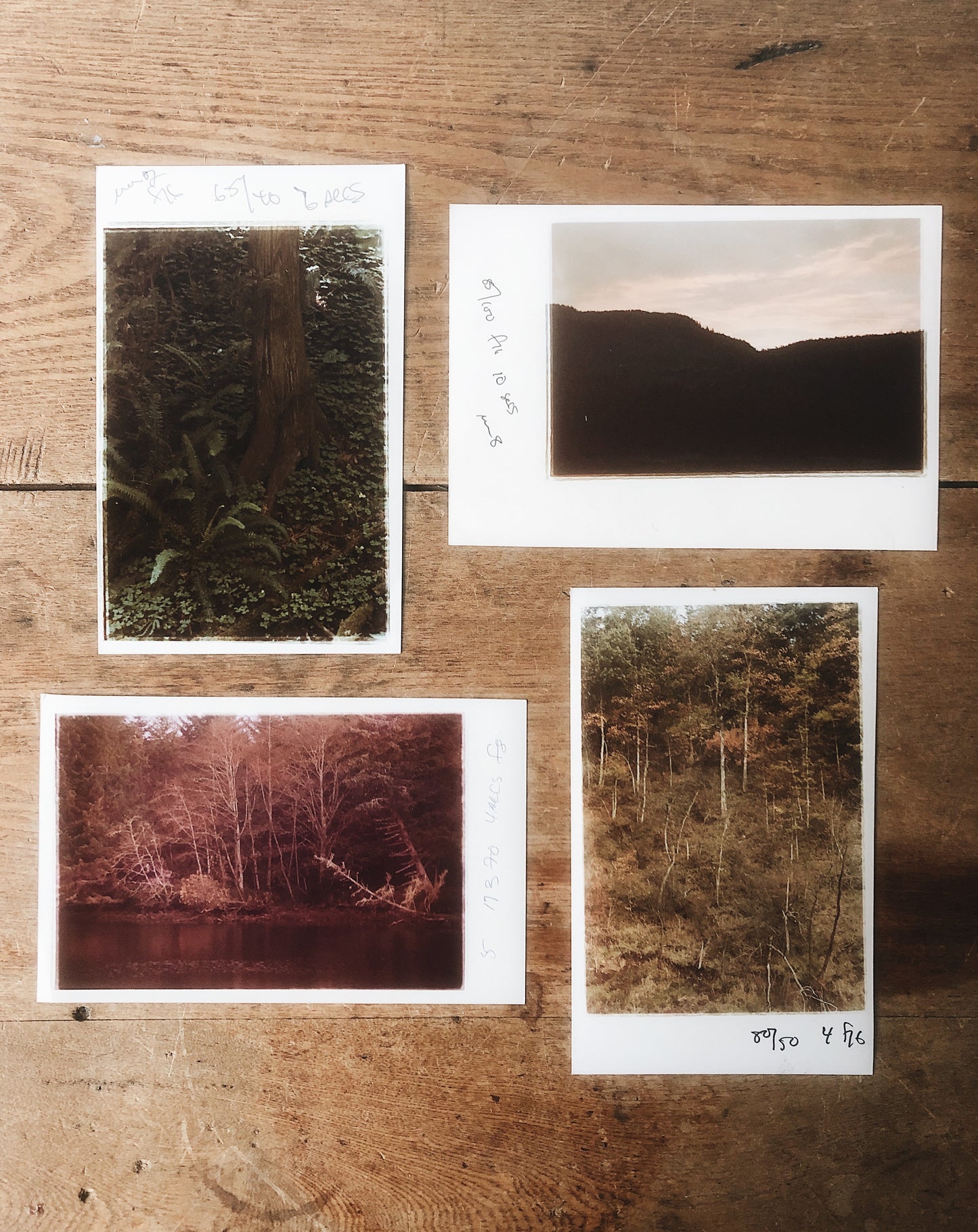 Vintage 1970s Film Test Landscape Photograph