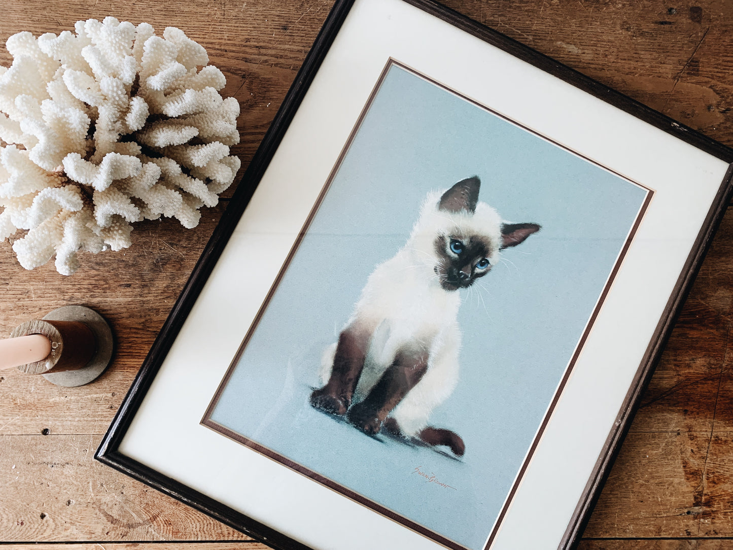 Peter Swan Brown Framed Siamese Art