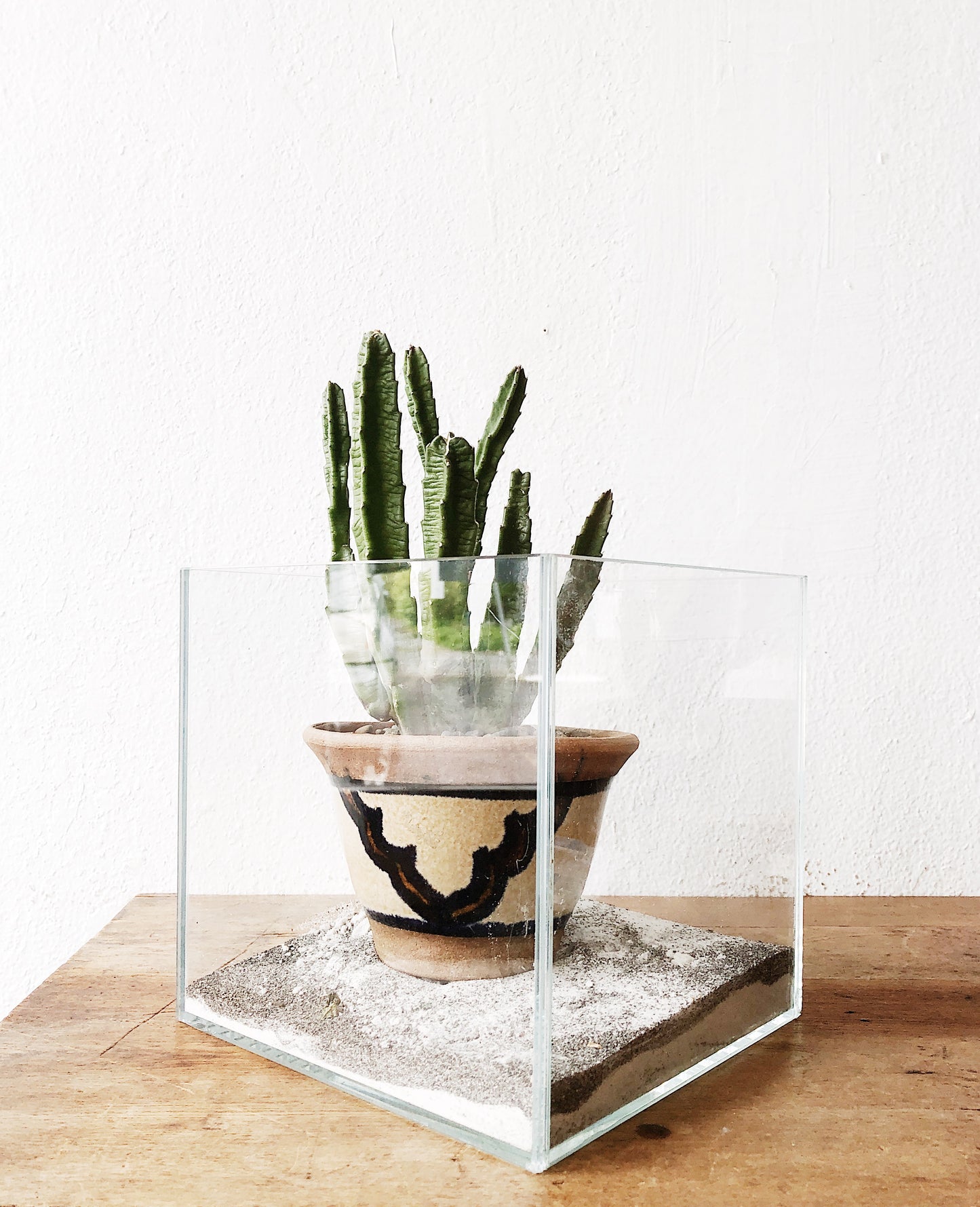 Glass Display Cube