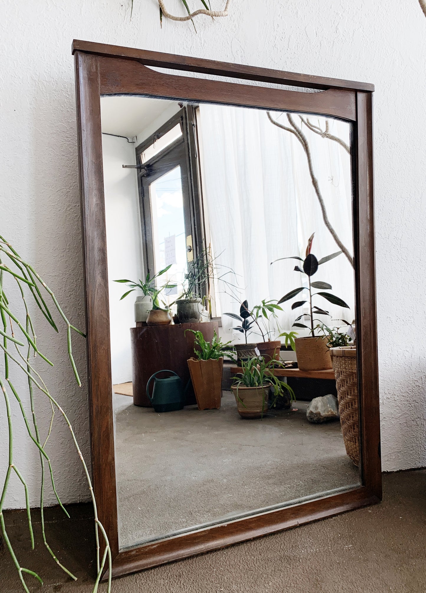 Mid Century Walnut Mirror