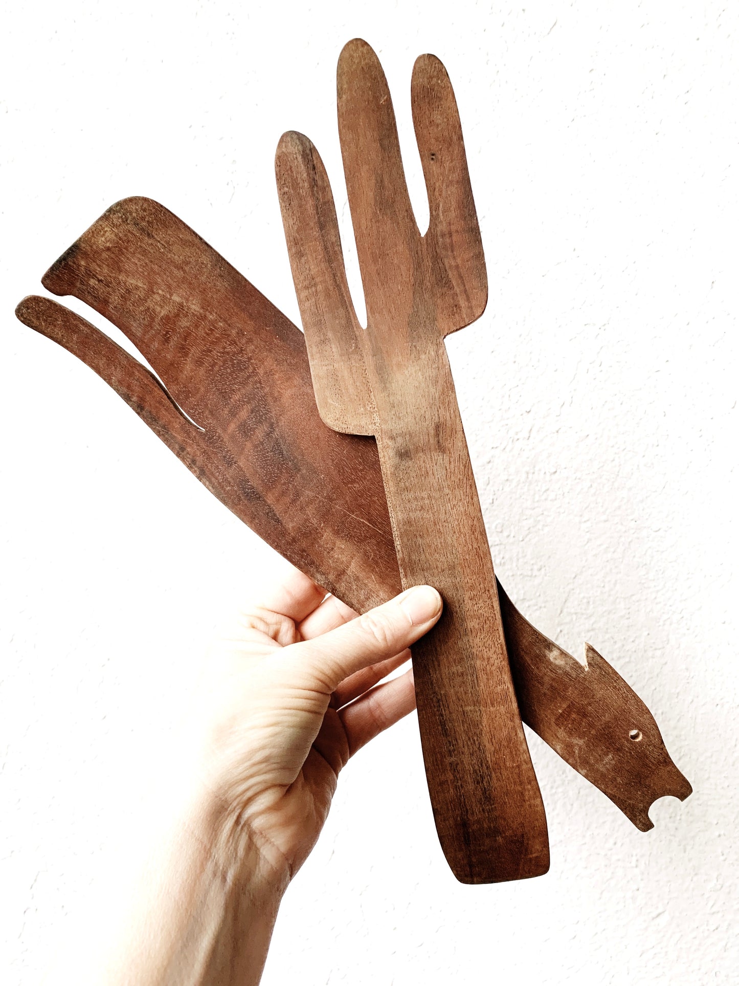 Coyote and Cactus Wood Servers