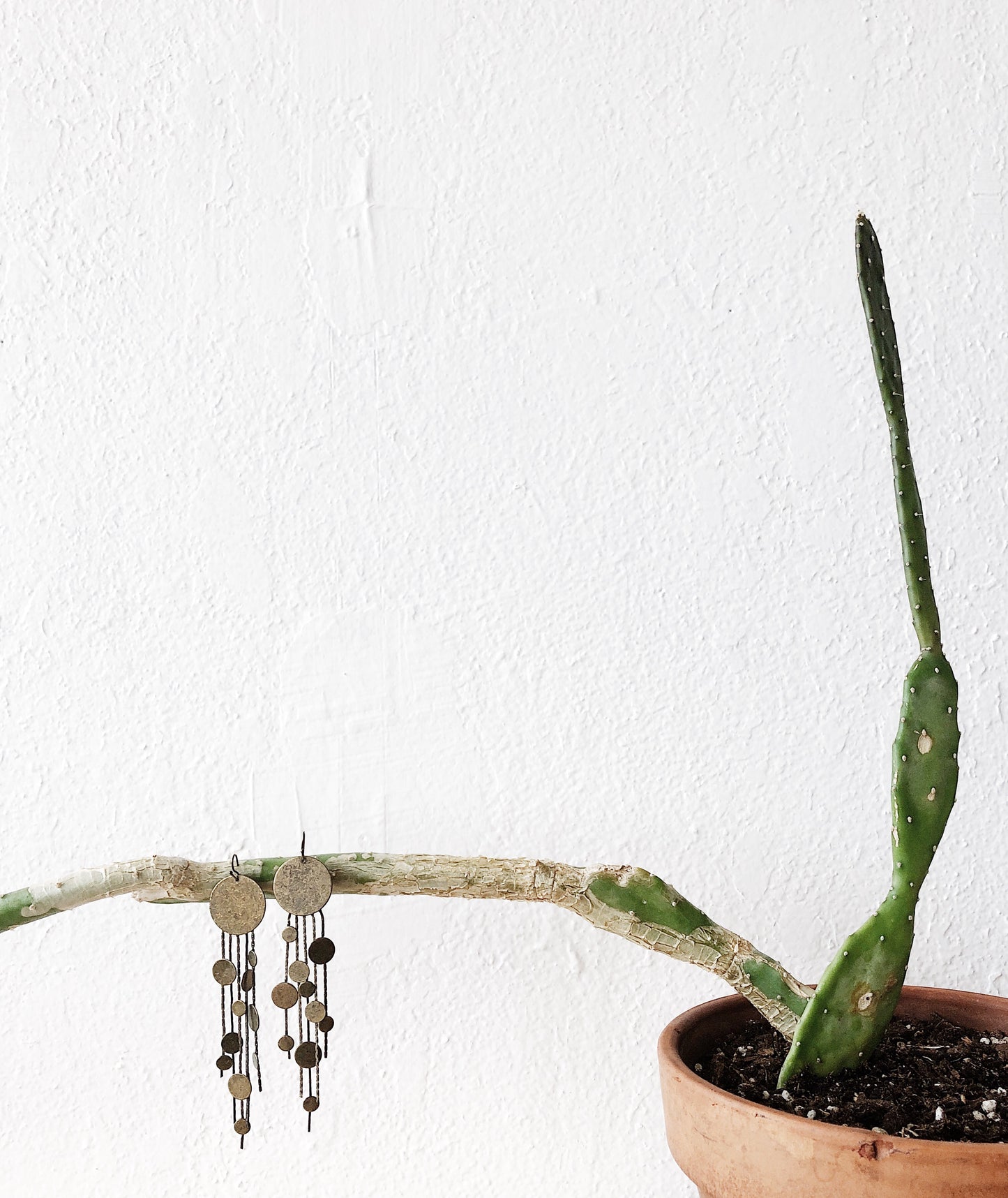 Vintage Brass Circle Earrings