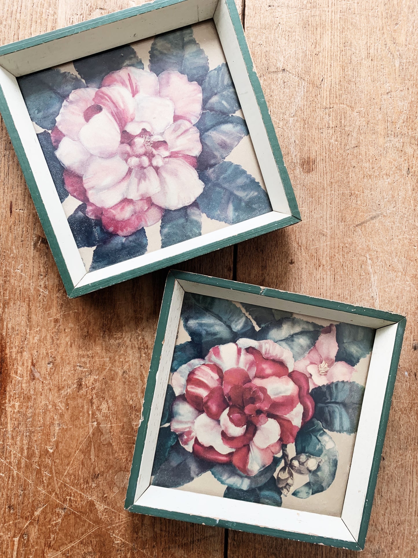 1950’s Framed Floral Prints