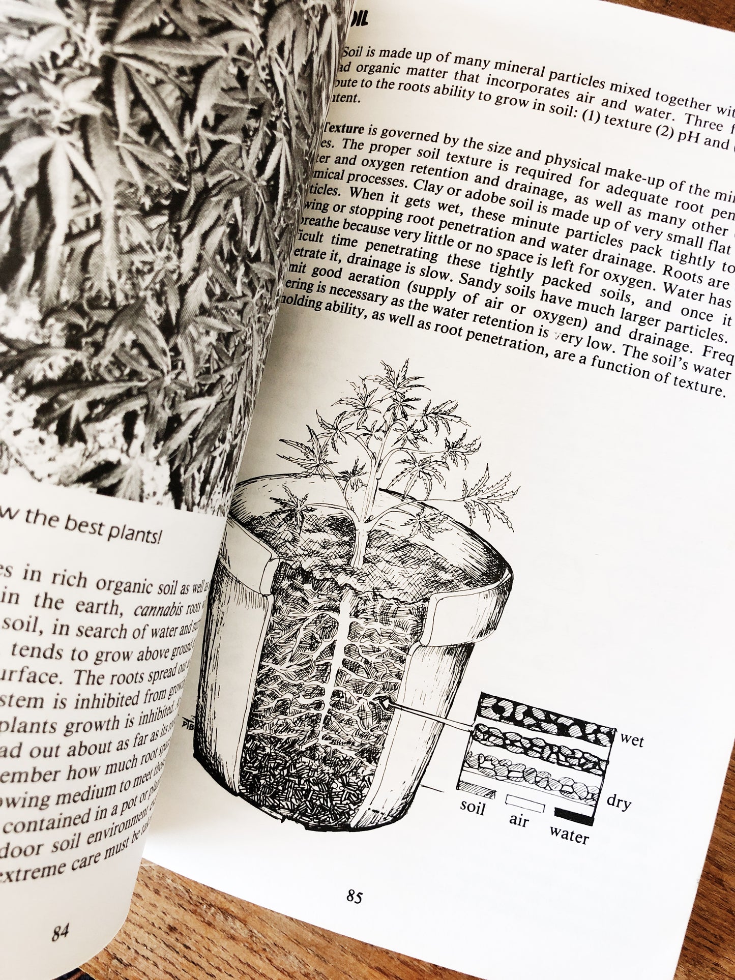 Vintage Marijuana Horticulture Book