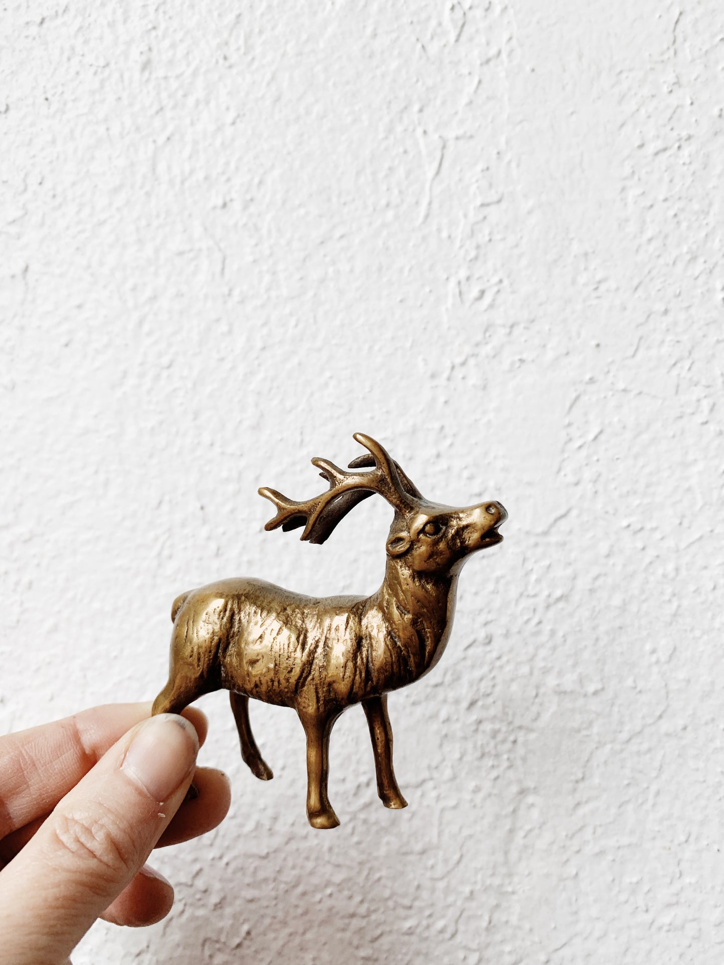 Vintage Brass Buck