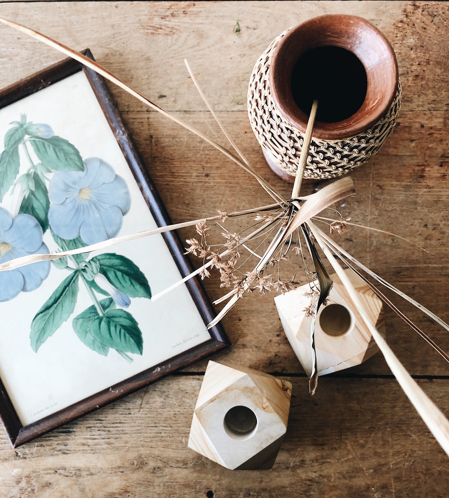 Antique Hand Colored Botanical Plate
