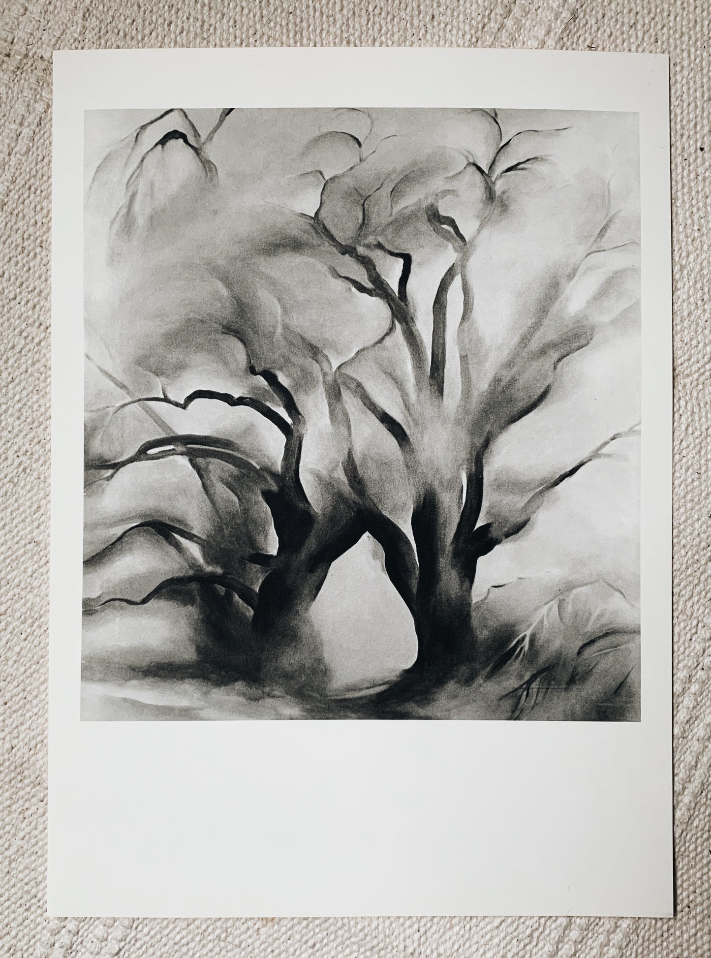 Vintage Georgia O’Keeffe Original 1970 Print