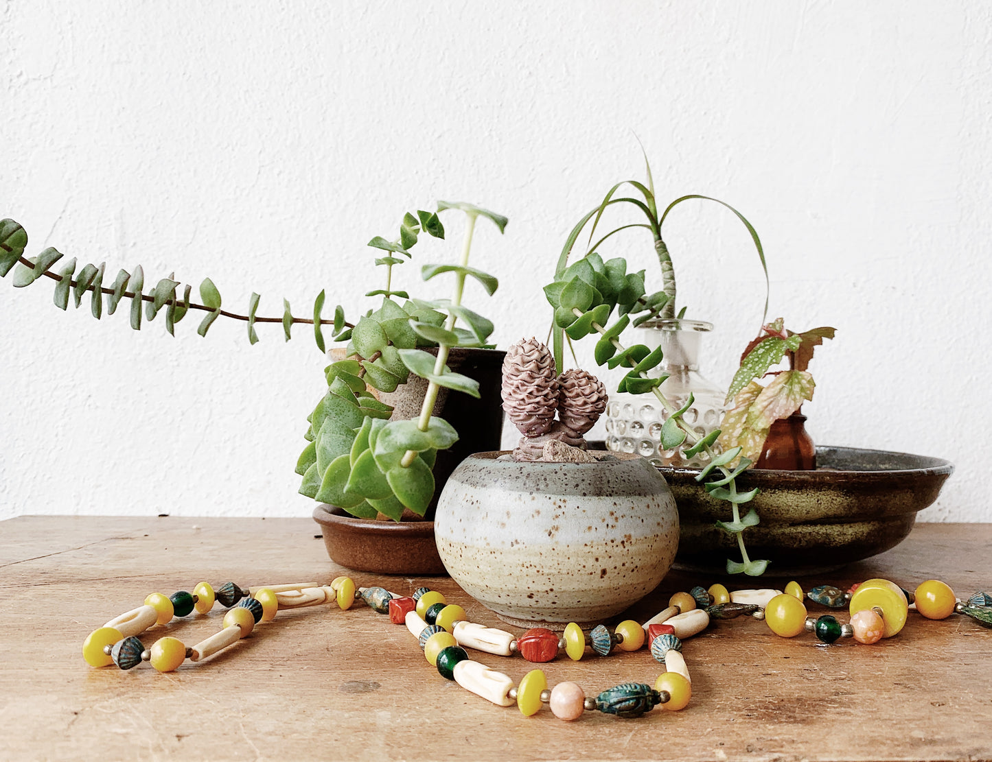 Small Potted Cactus