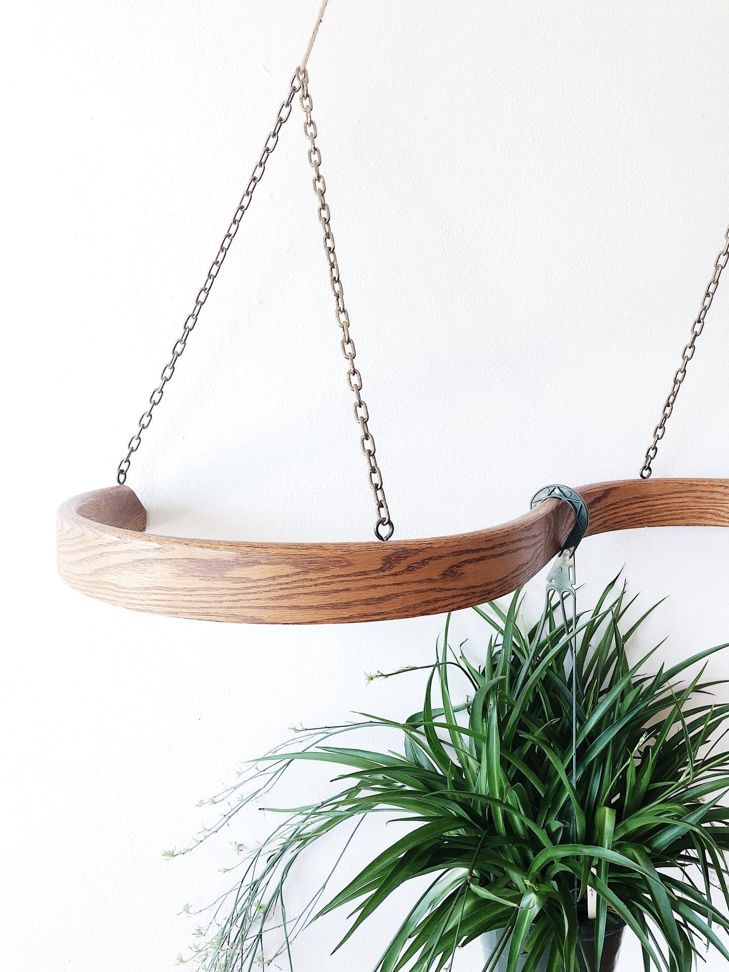 Vintage Bentwood Pot or Hanging Rack