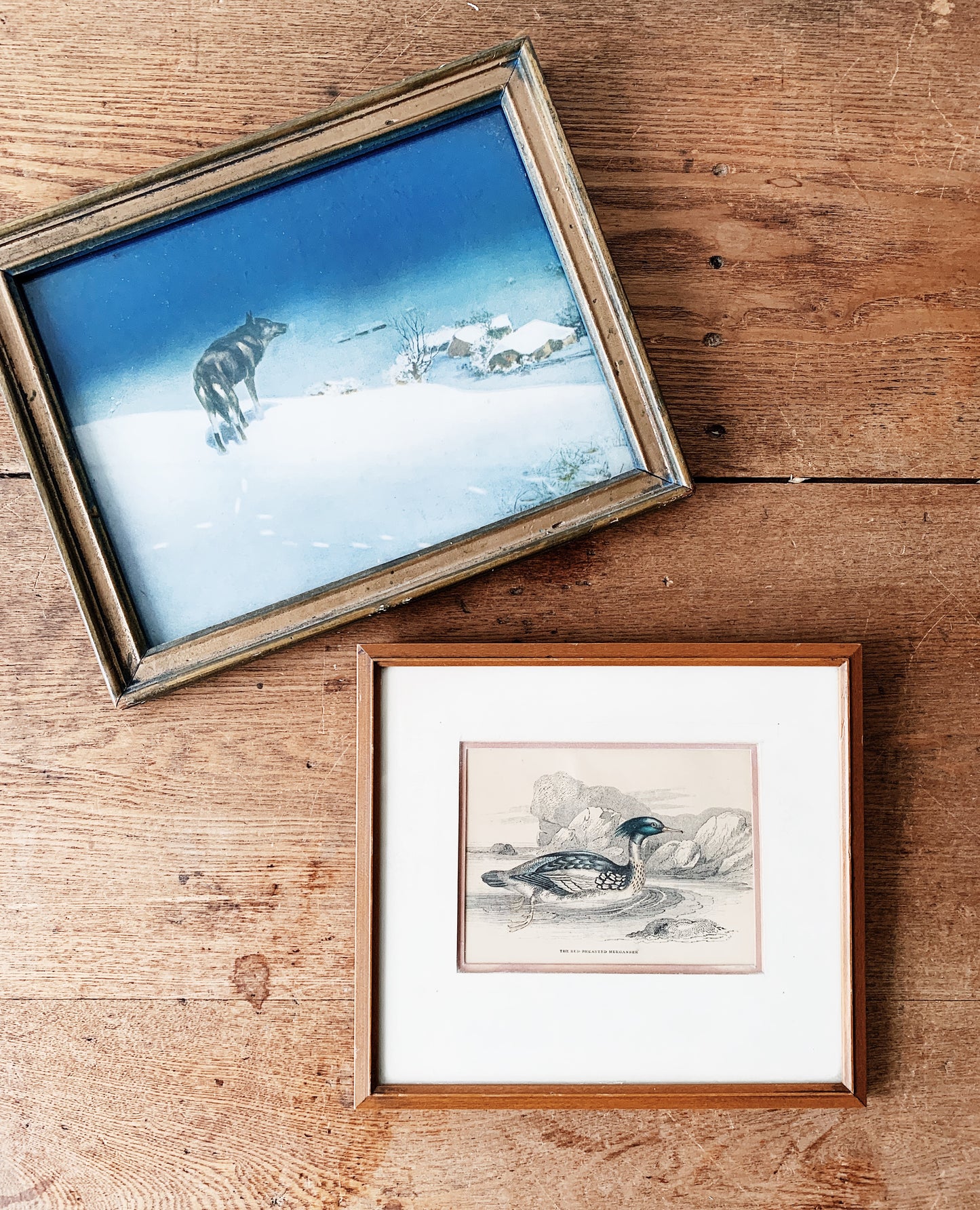 Deco Era Lone Wolf Litho