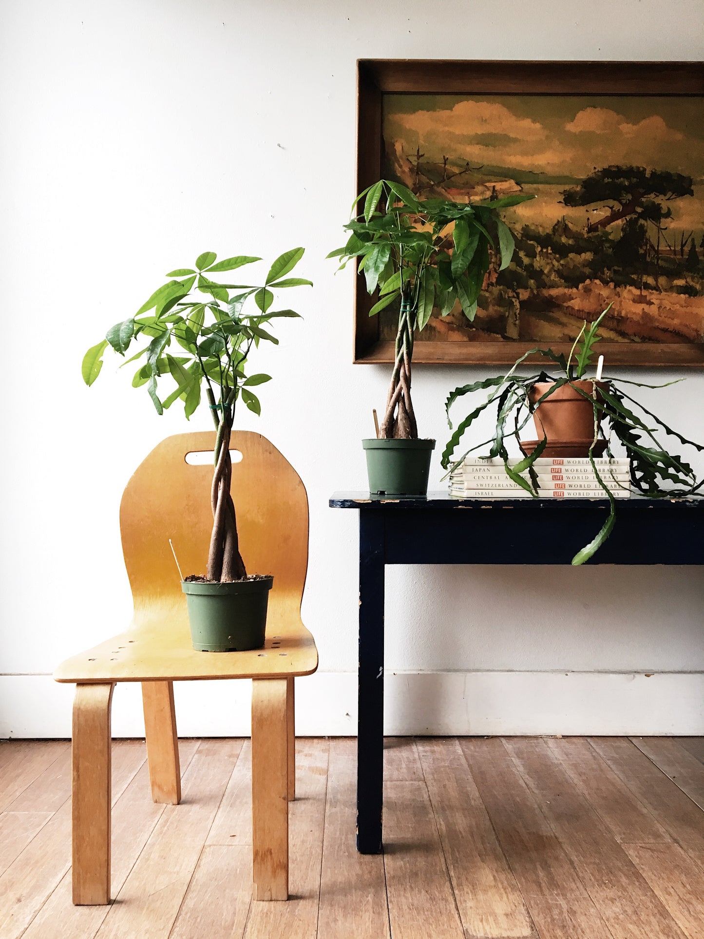 Large Vintage Lithograph