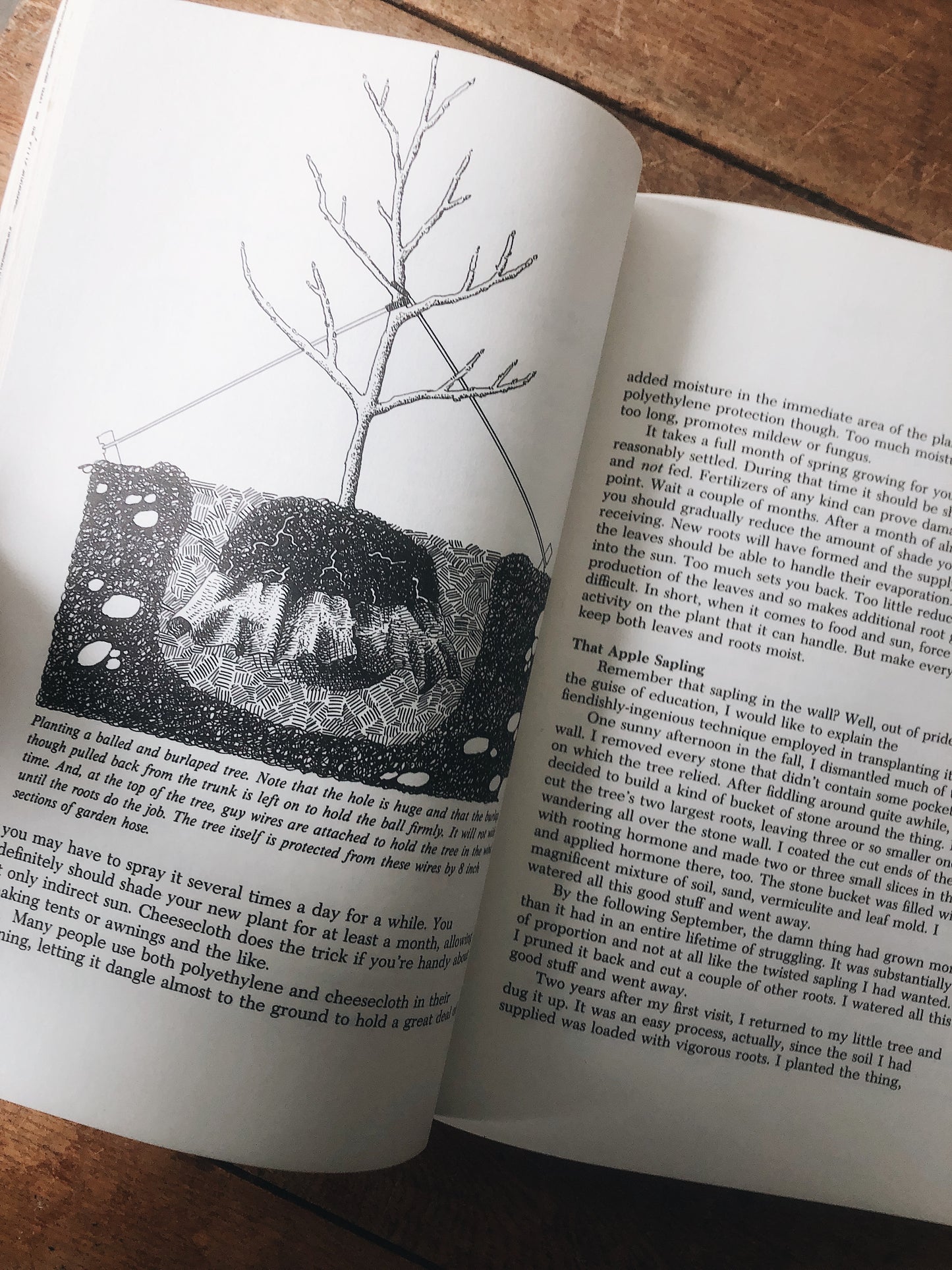 Vintage Plant Propagating Book
