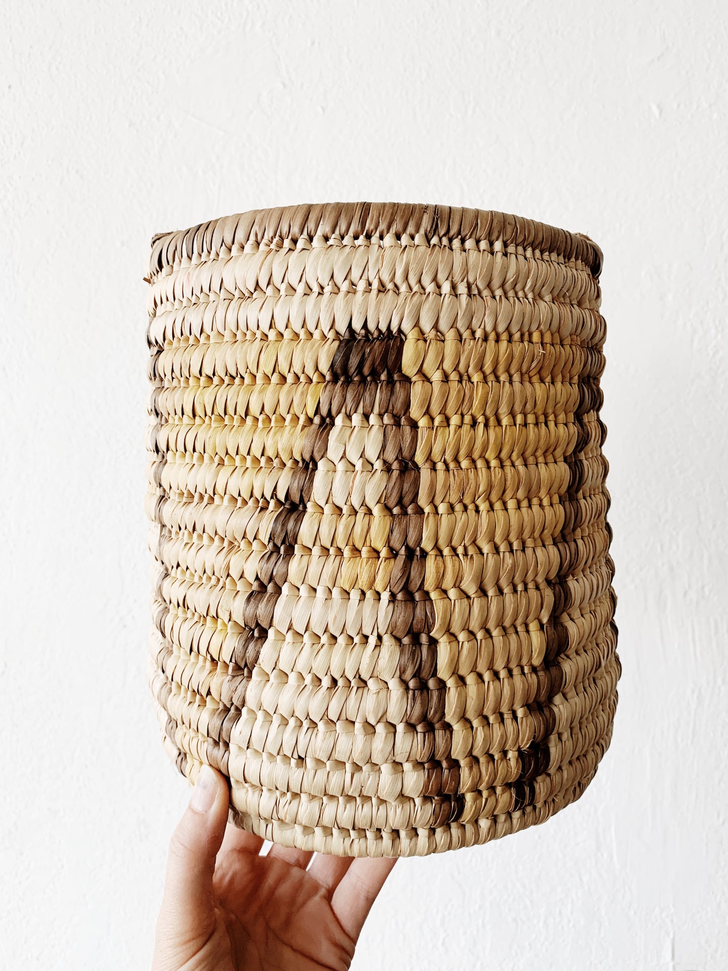 Graphic Coil Plant Basket