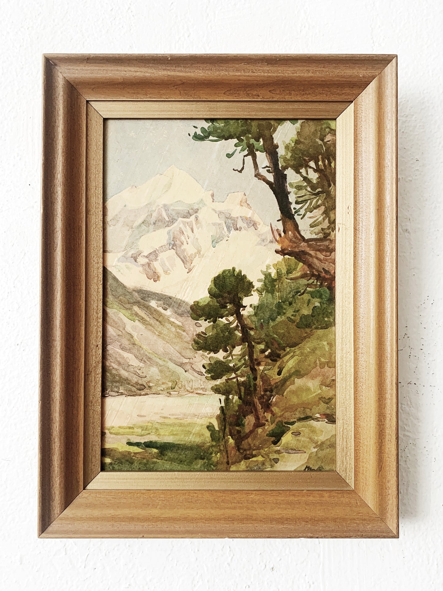 Vintage Framed Lithograph