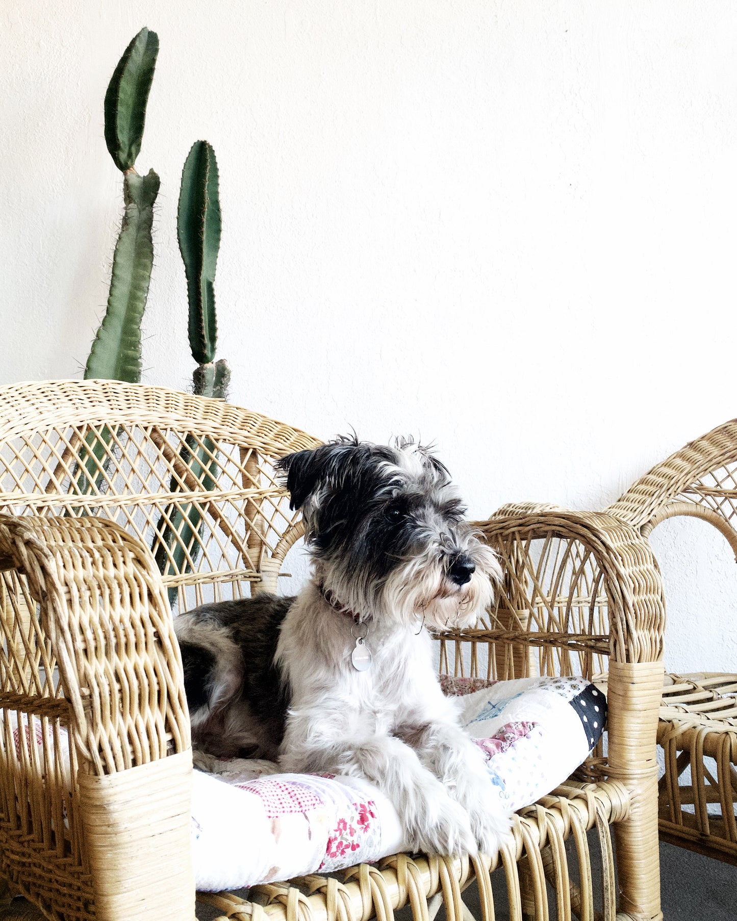 Vintage Bamboo and Wicker Chair