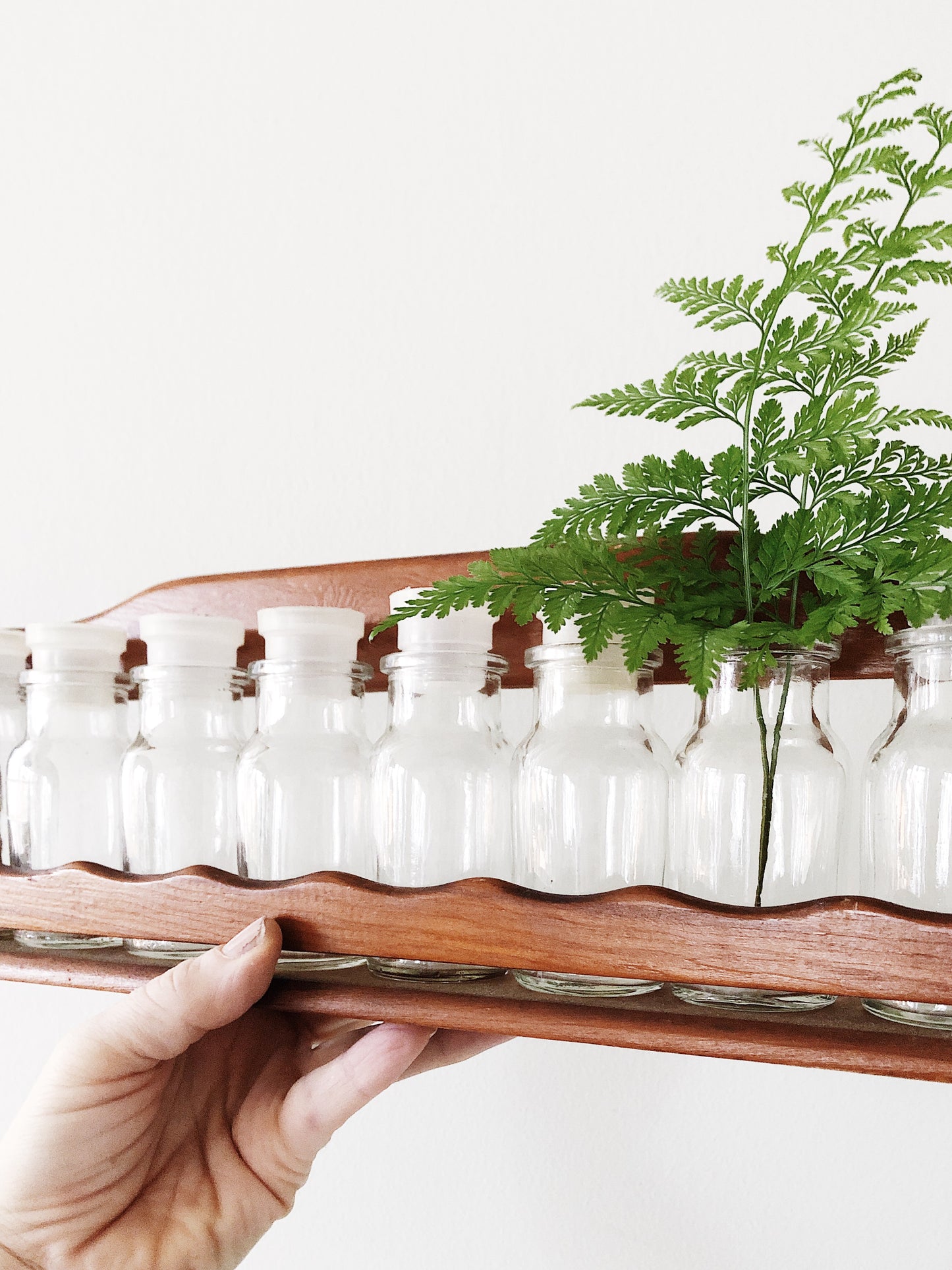 Vintage Apothecary Shelf