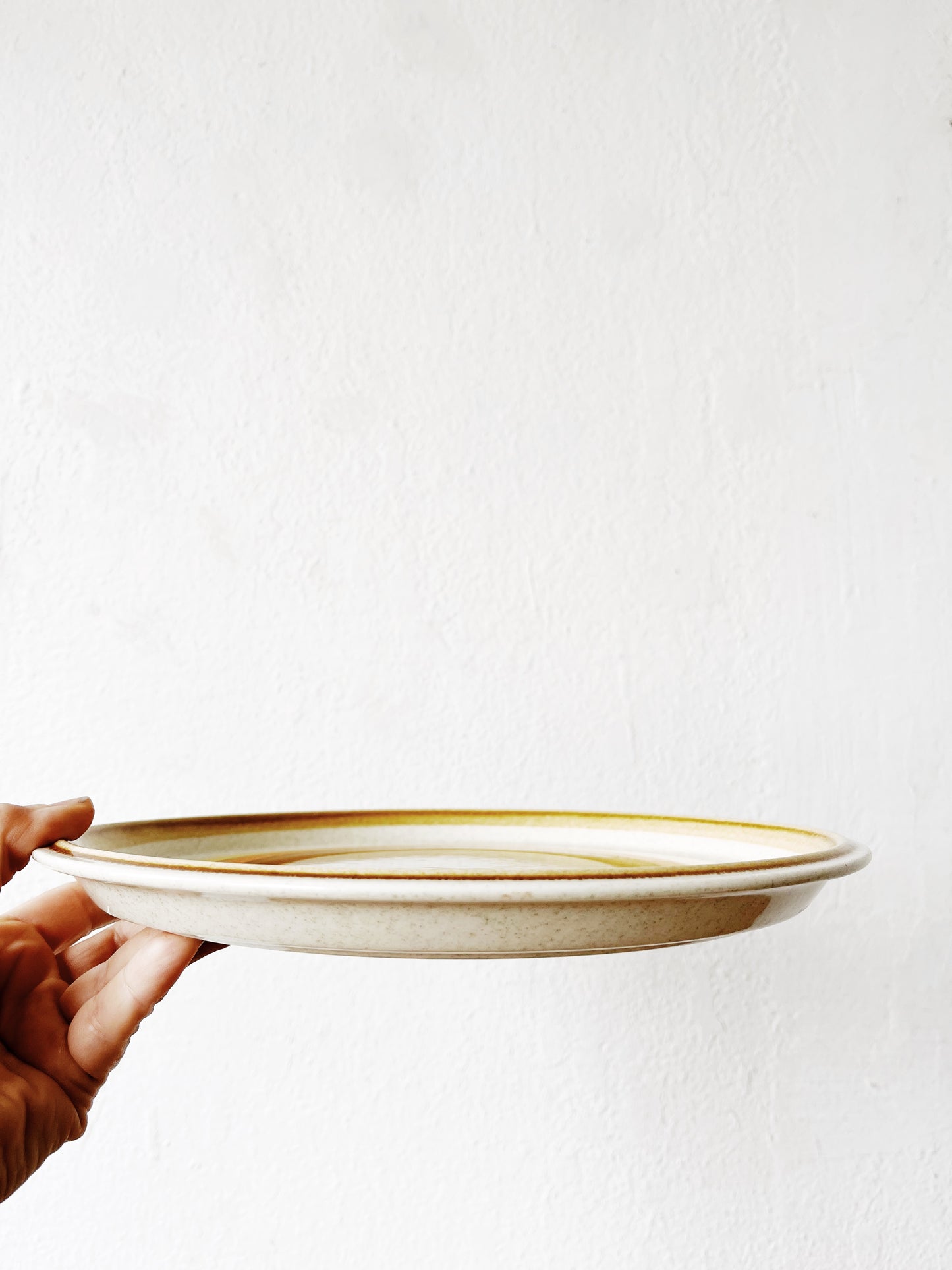 Pair of Mikasa Sun Circles Vintage Plates