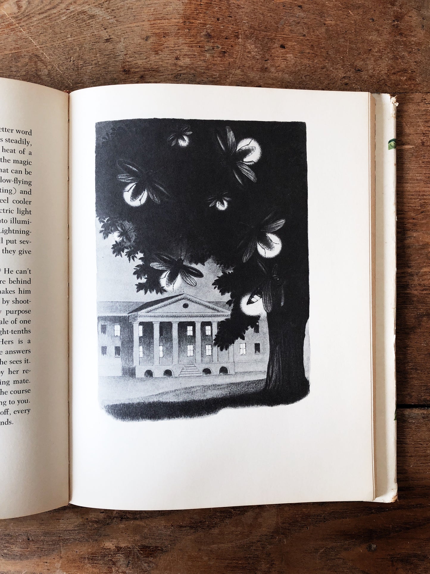 Vintage Rainbow Book of Nature