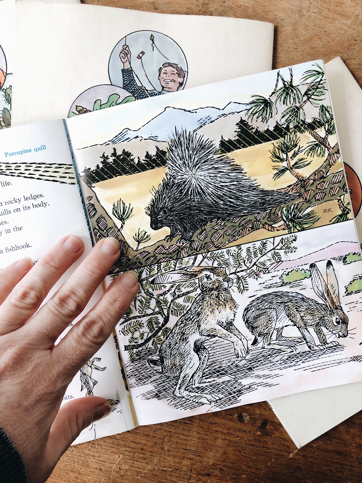 Vintage 1970s Natural History Book Set