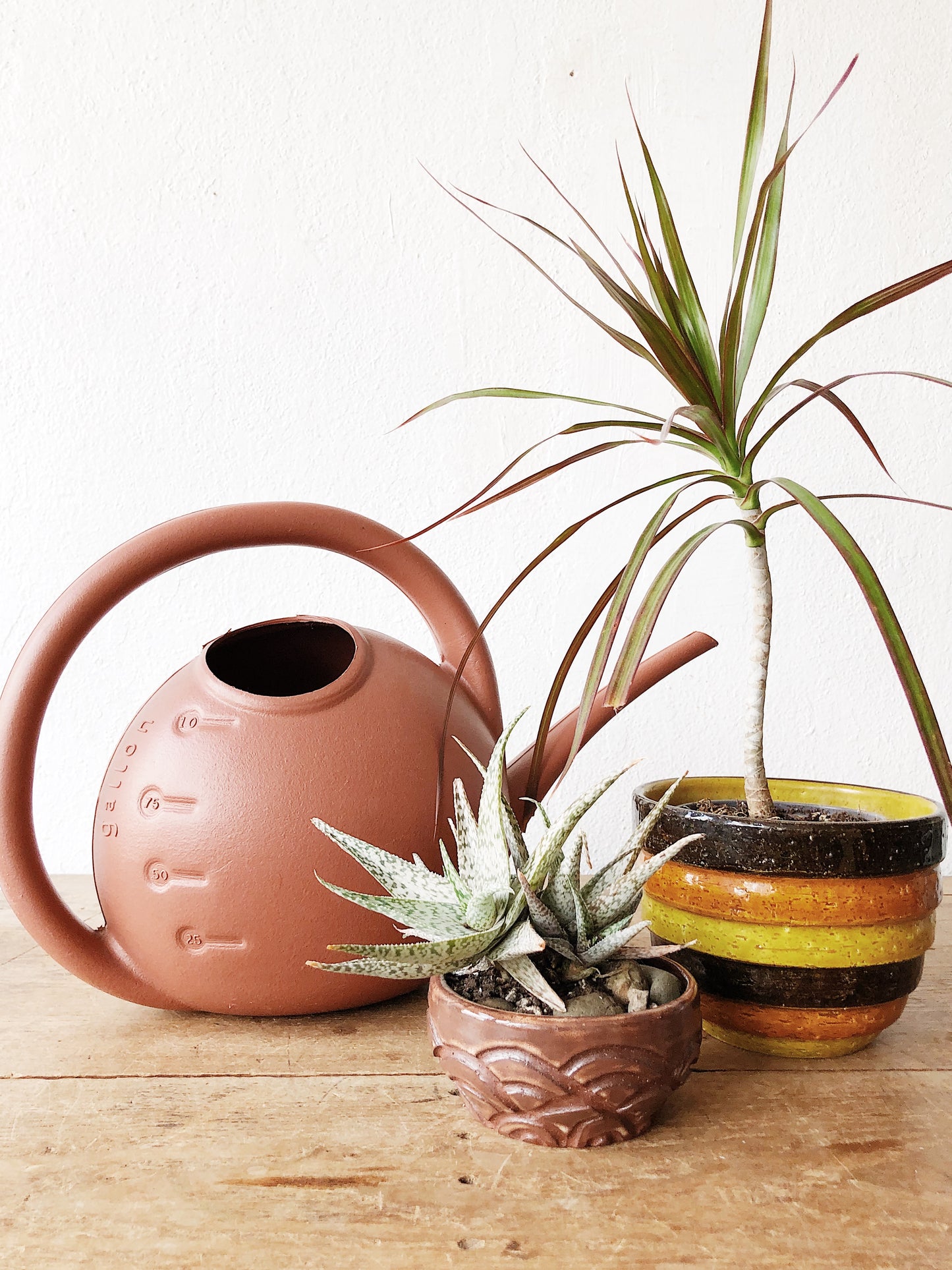 Plastic Watering Can