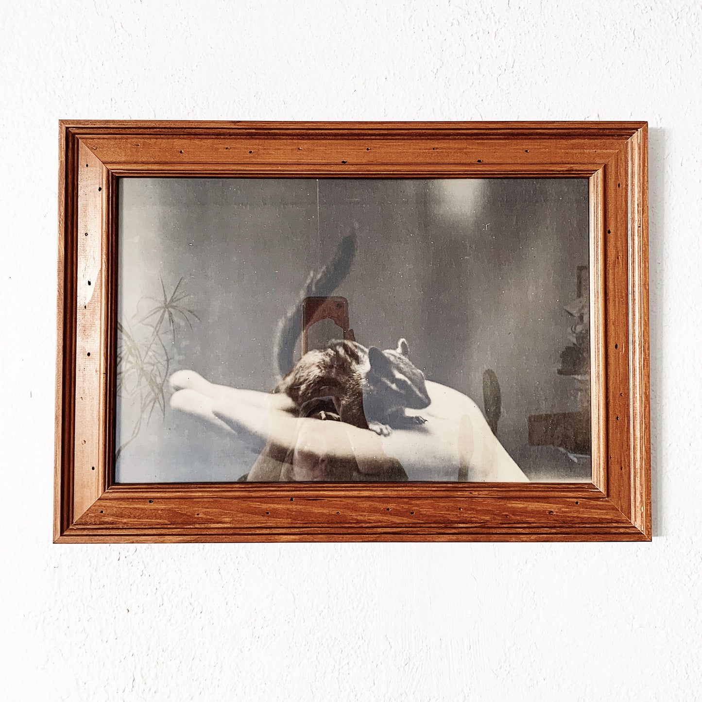 Vintage Framed Print