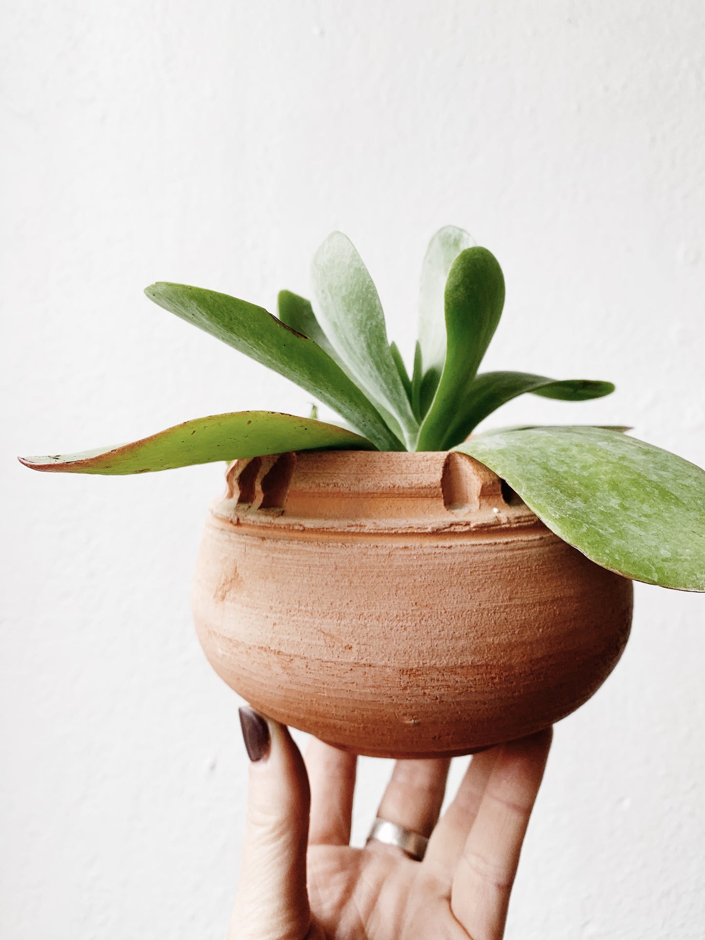 Vintage Handmade Clay Pot