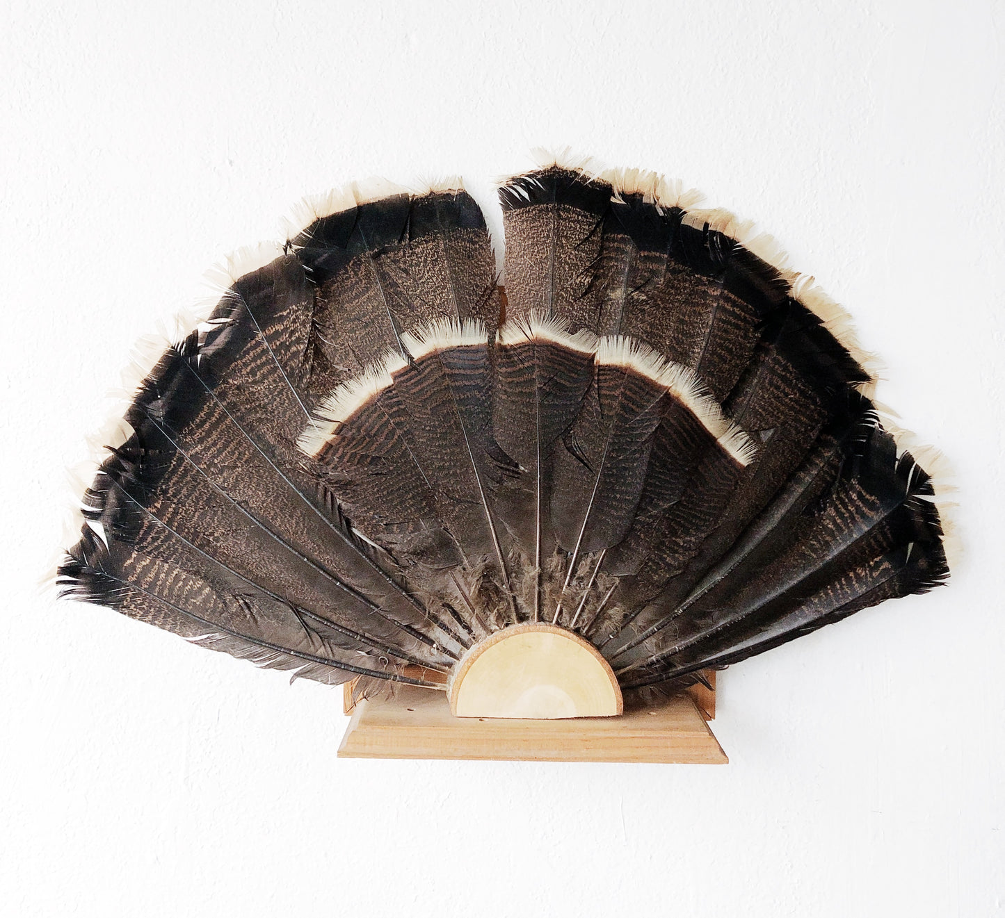 Vintage Feather Art Piece