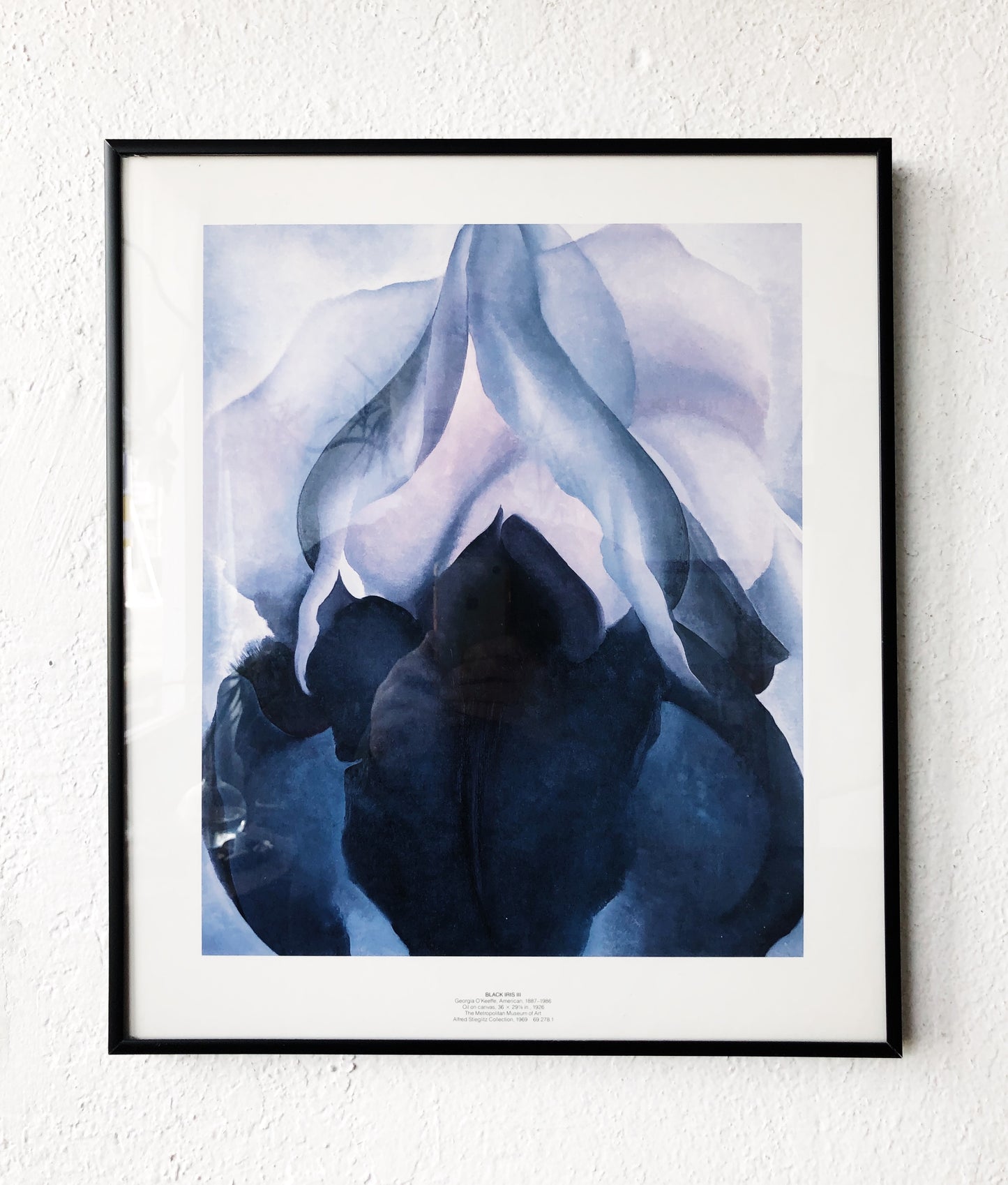 Vintage O’Keeffe Black Iris Print