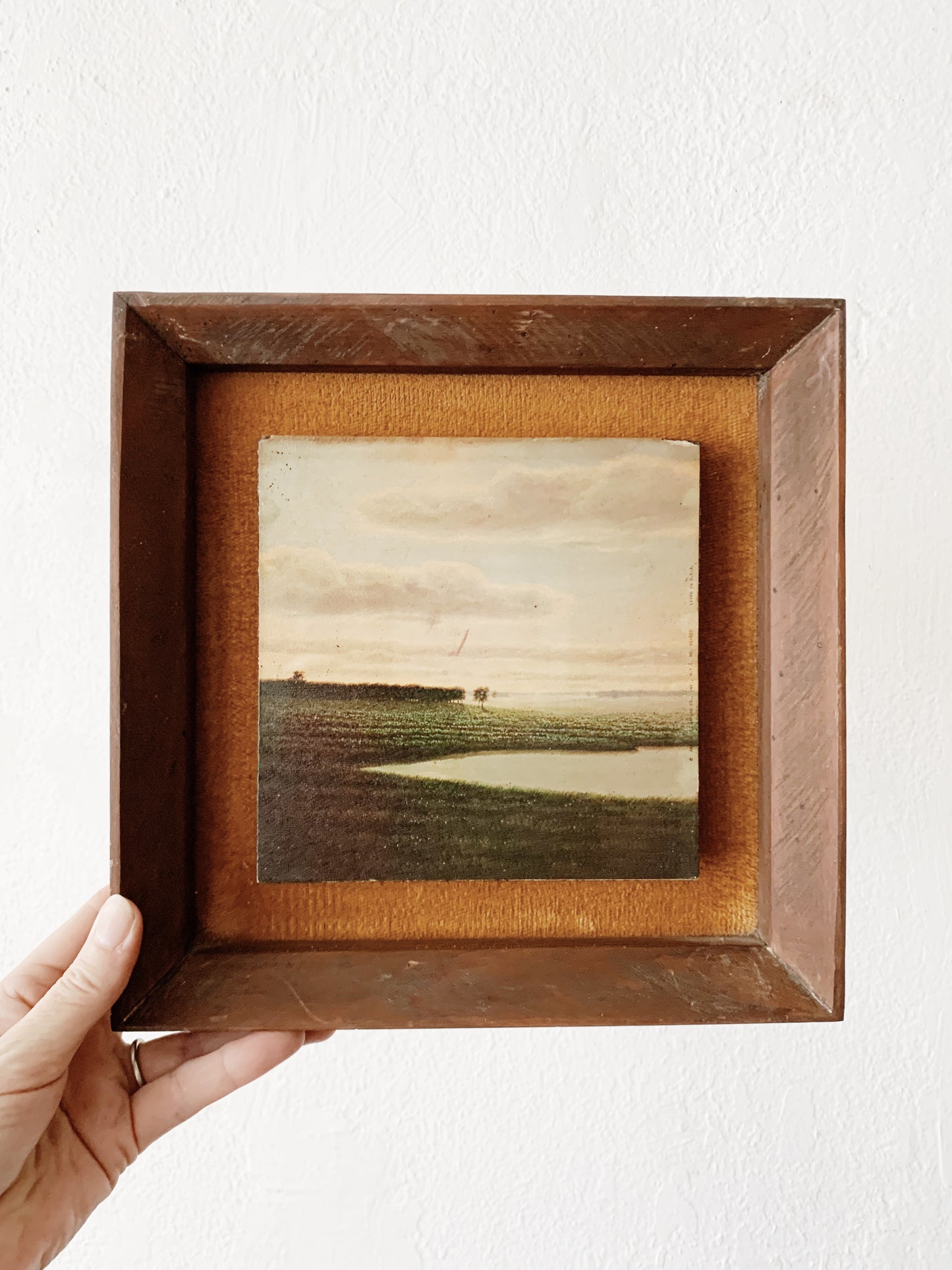 Vintage Framed Lithograph
