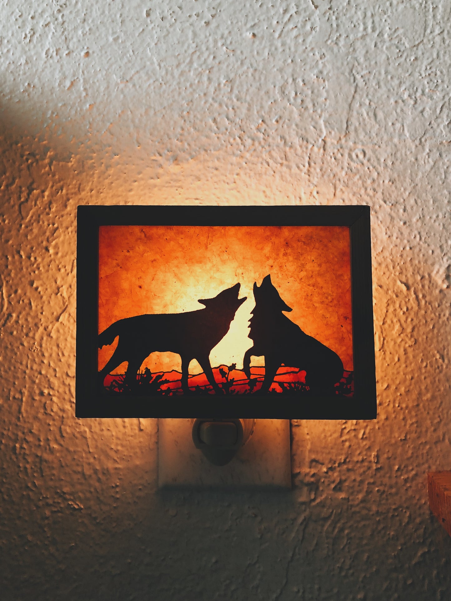 Coyote Night Light