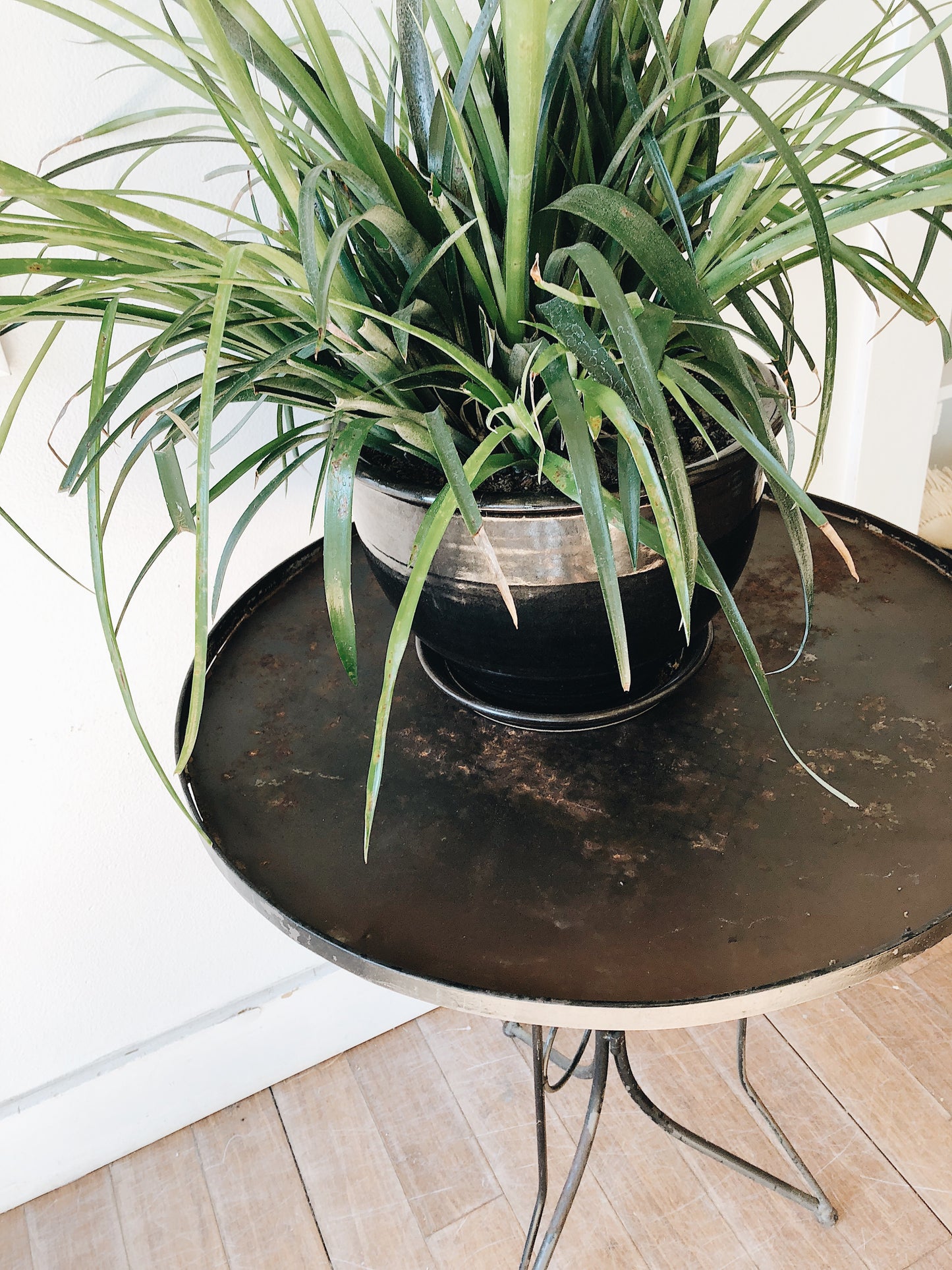 Vintage Metal Plant Stand