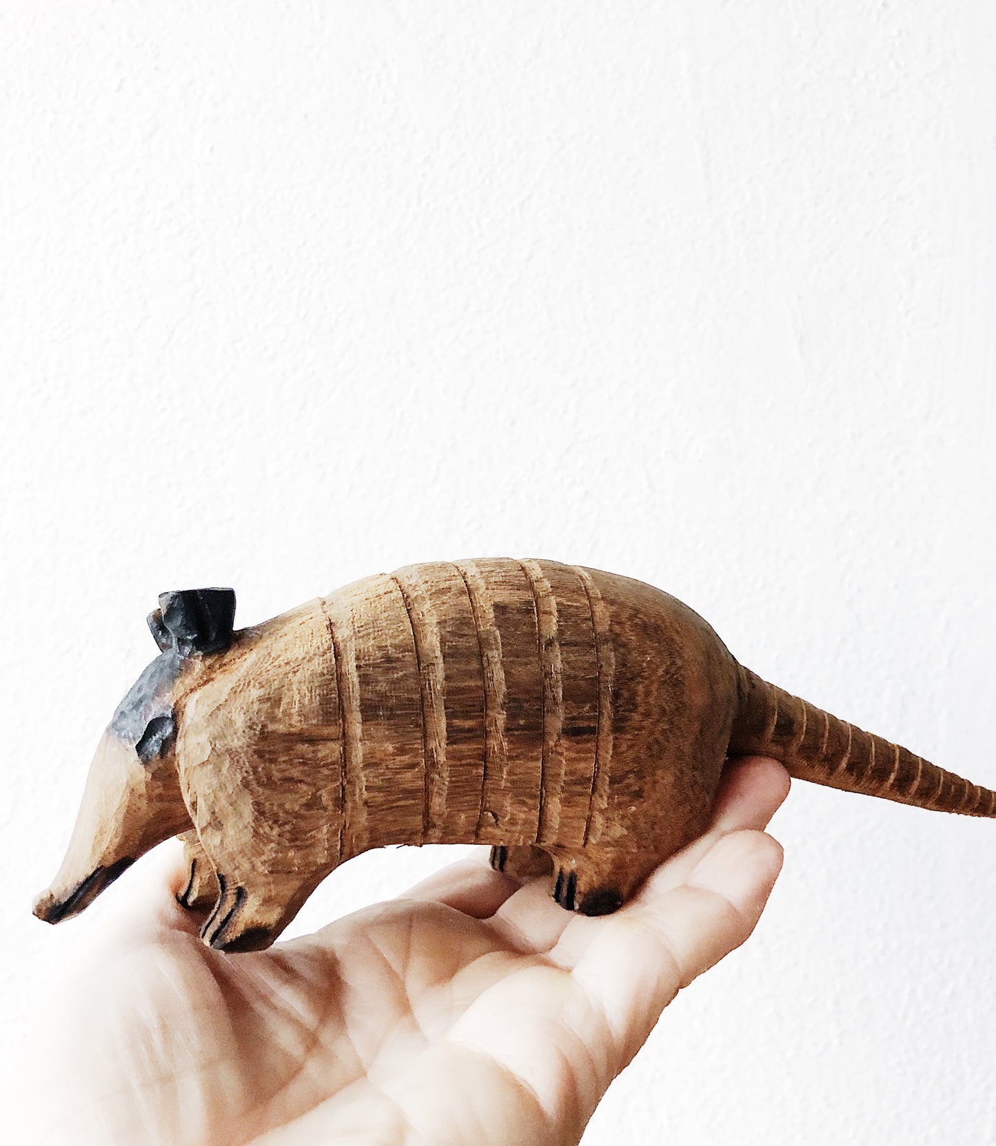 Handcarved Armadillo