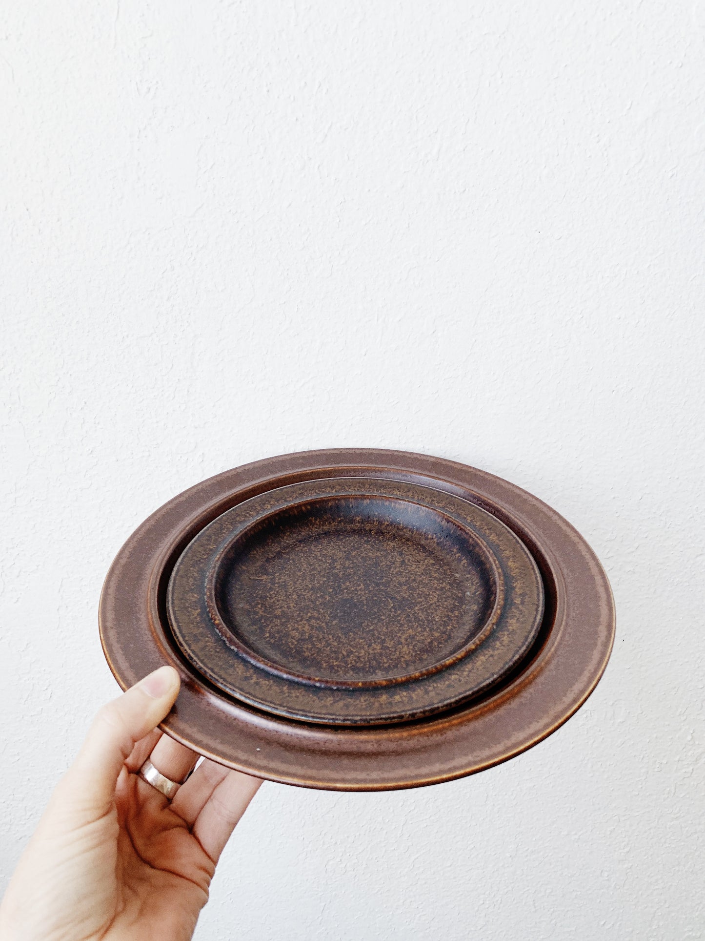 Mid Century Arabia Of Finland Ruska Plate Set