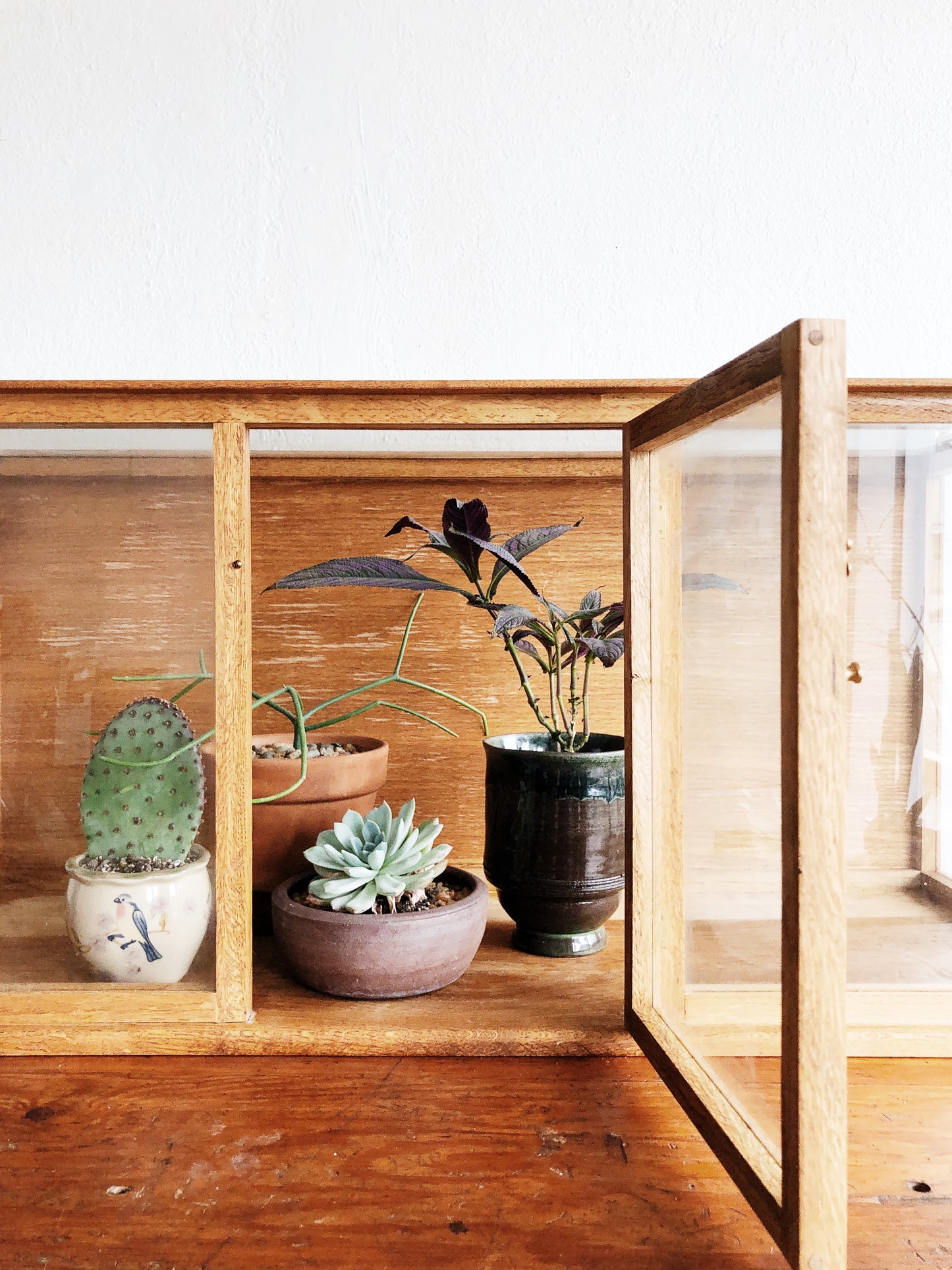 Vintage Glass and Wood Display Case