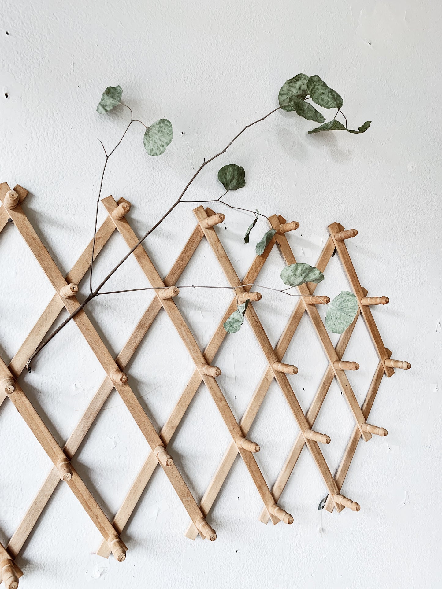 Extra Large Accordion Peg Rack