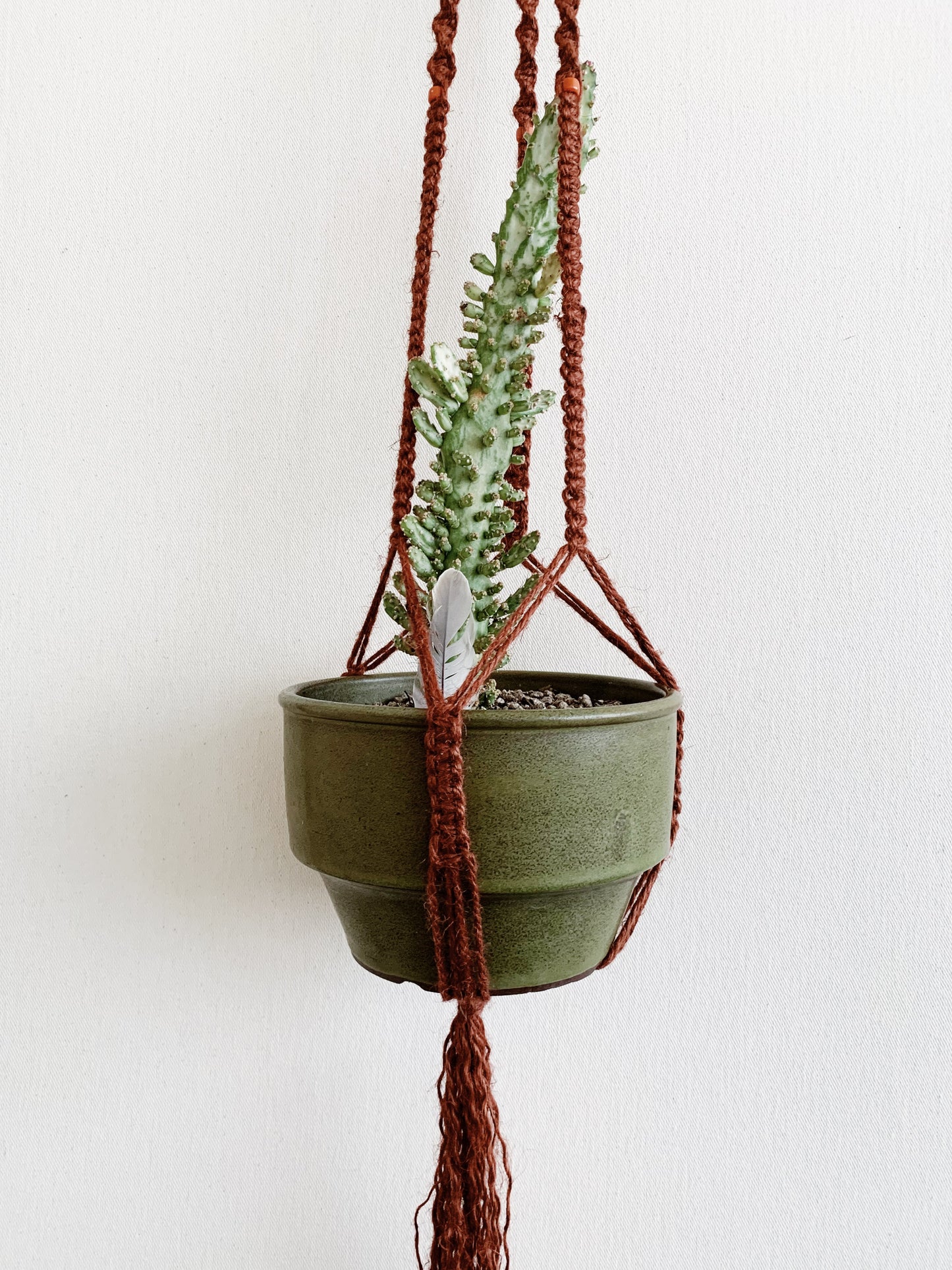 Vintage Jute Macrame Plan Hanger