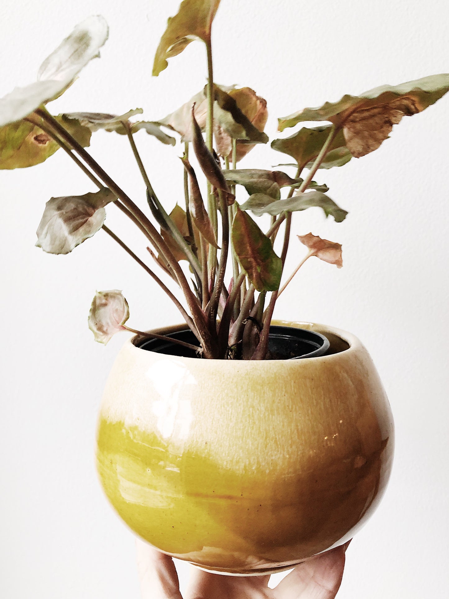 Vintage Mustard USA Pottery Planter